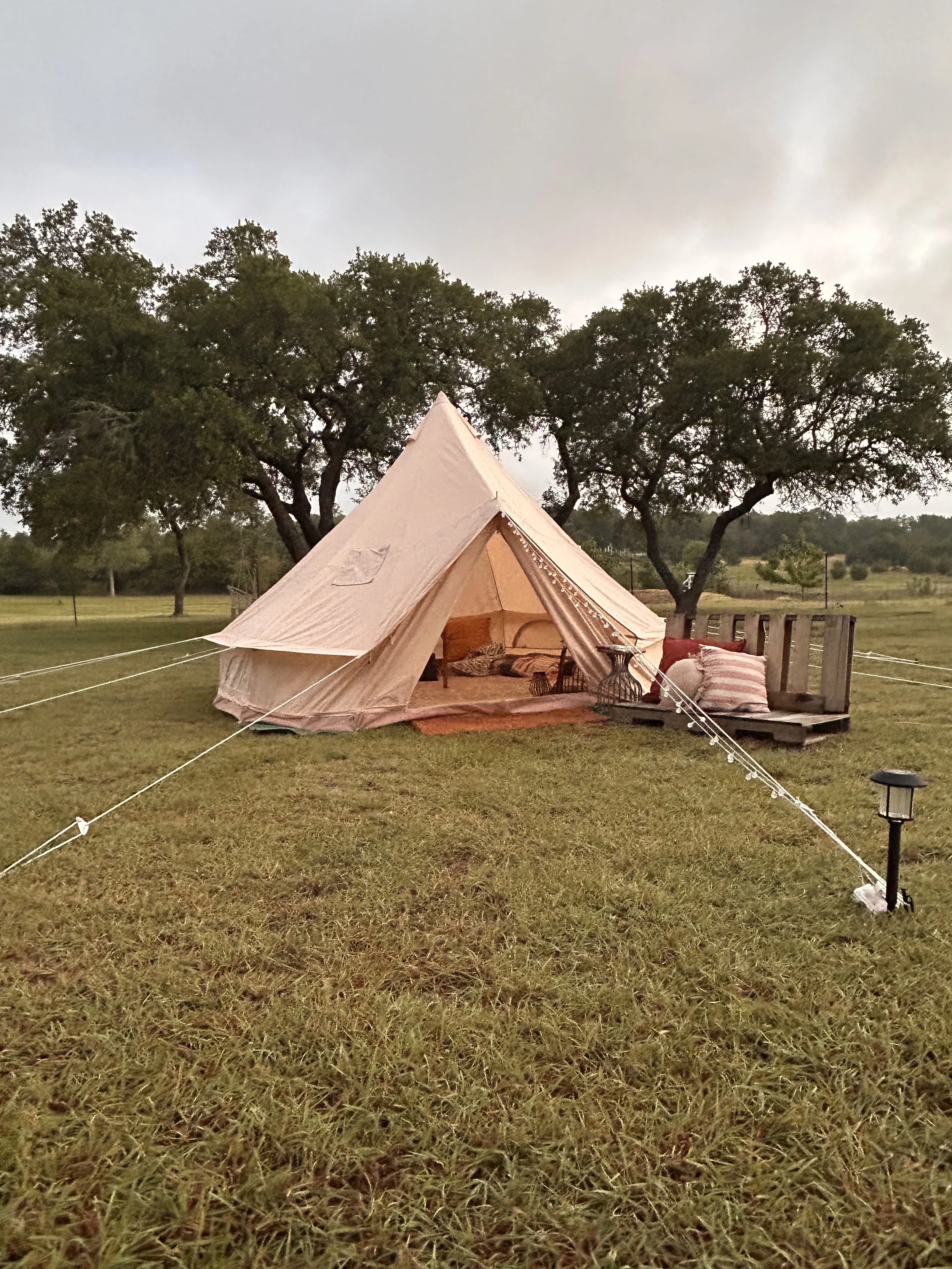 Activity Spotlight: A Family Rest Stop in The Serenity Yurt