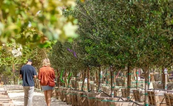 Moon Valley Nurseries, a second year partner with Driftwood Fall Festival