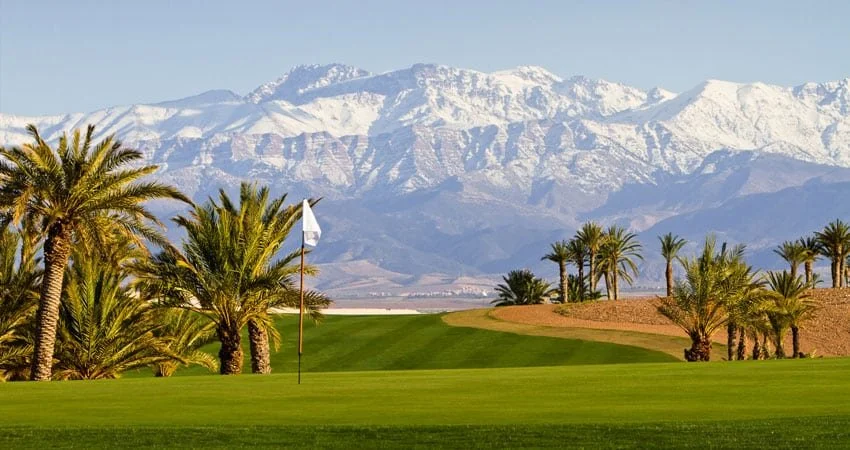 Assoufid-Golf-Club-Marrakech-Maroc-Montagne-palmier-green.jpg