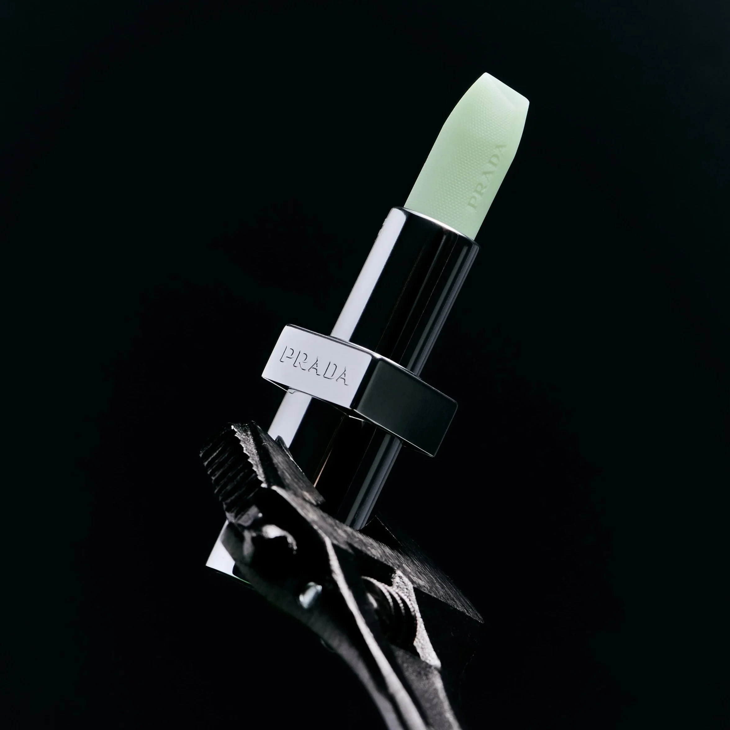 Still Life Exploration