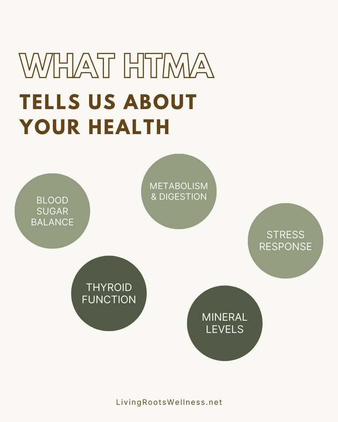 HTMA can tell us so much about how your body is functioning and why you are experiencing the symptoms you feel. Why guess about what your problems are and throw away money on trendy supplements, when we can know what your body actually needs. 
Want m