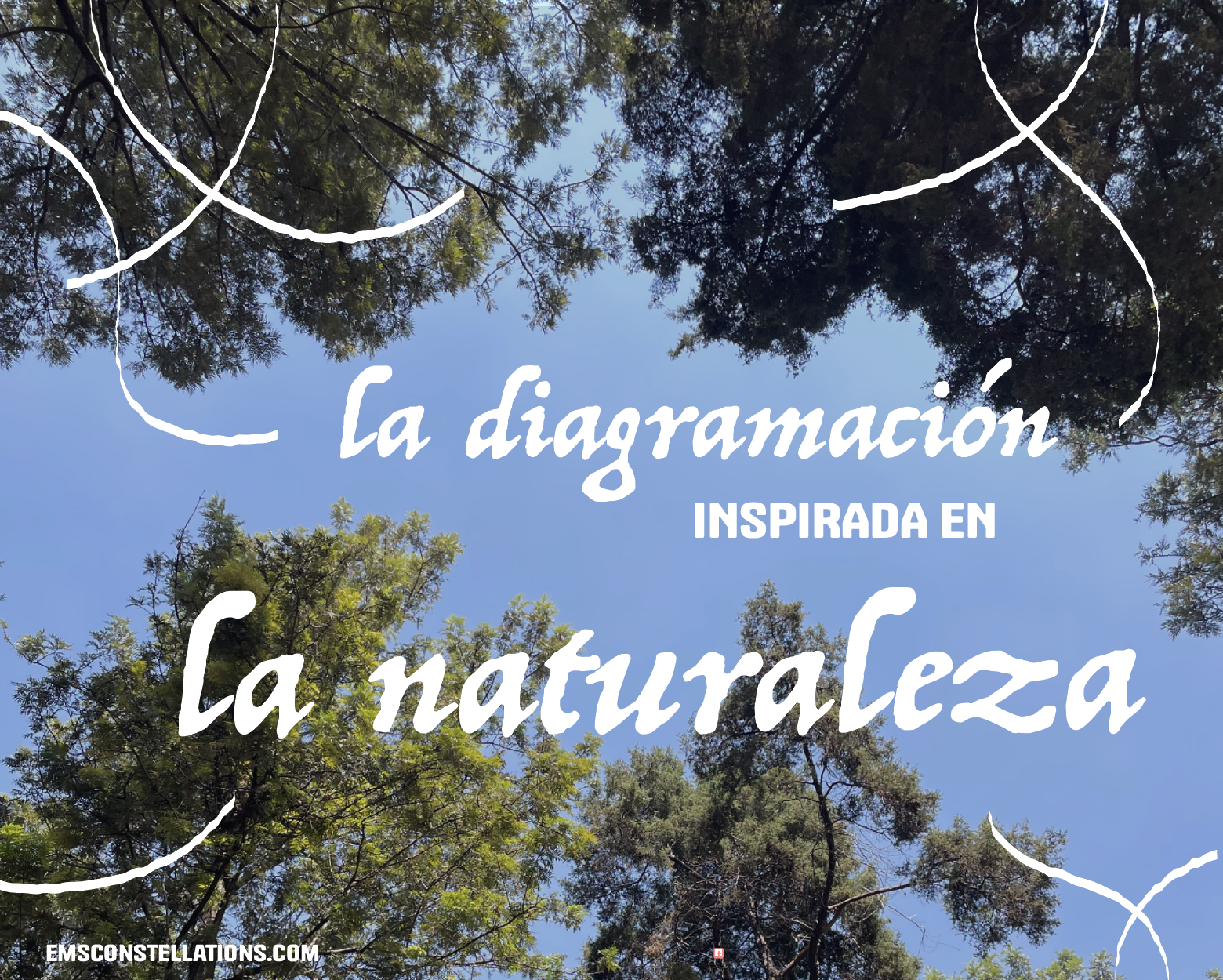 la diagramación inspirada en la naturaleza