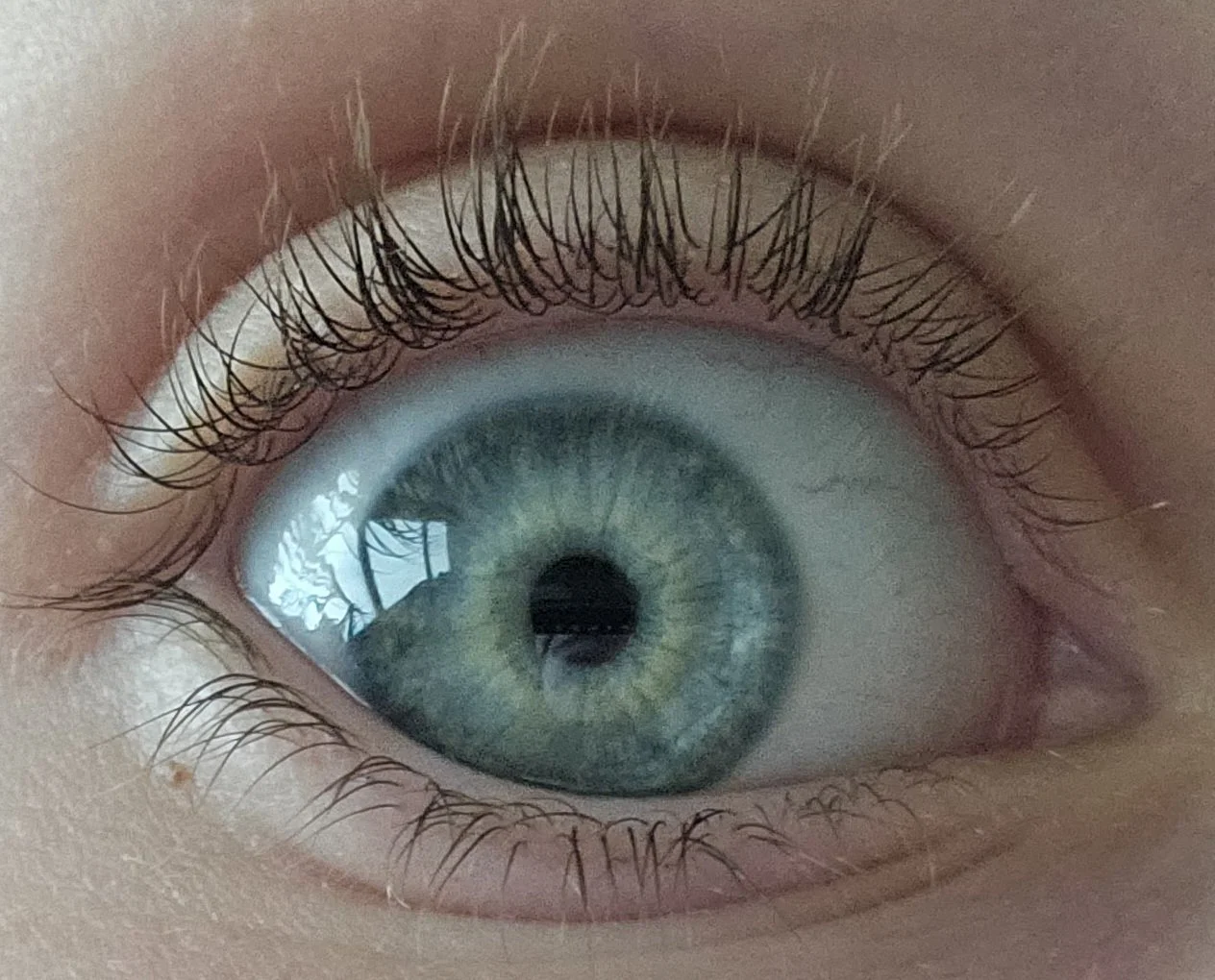20230726_133441.jpg