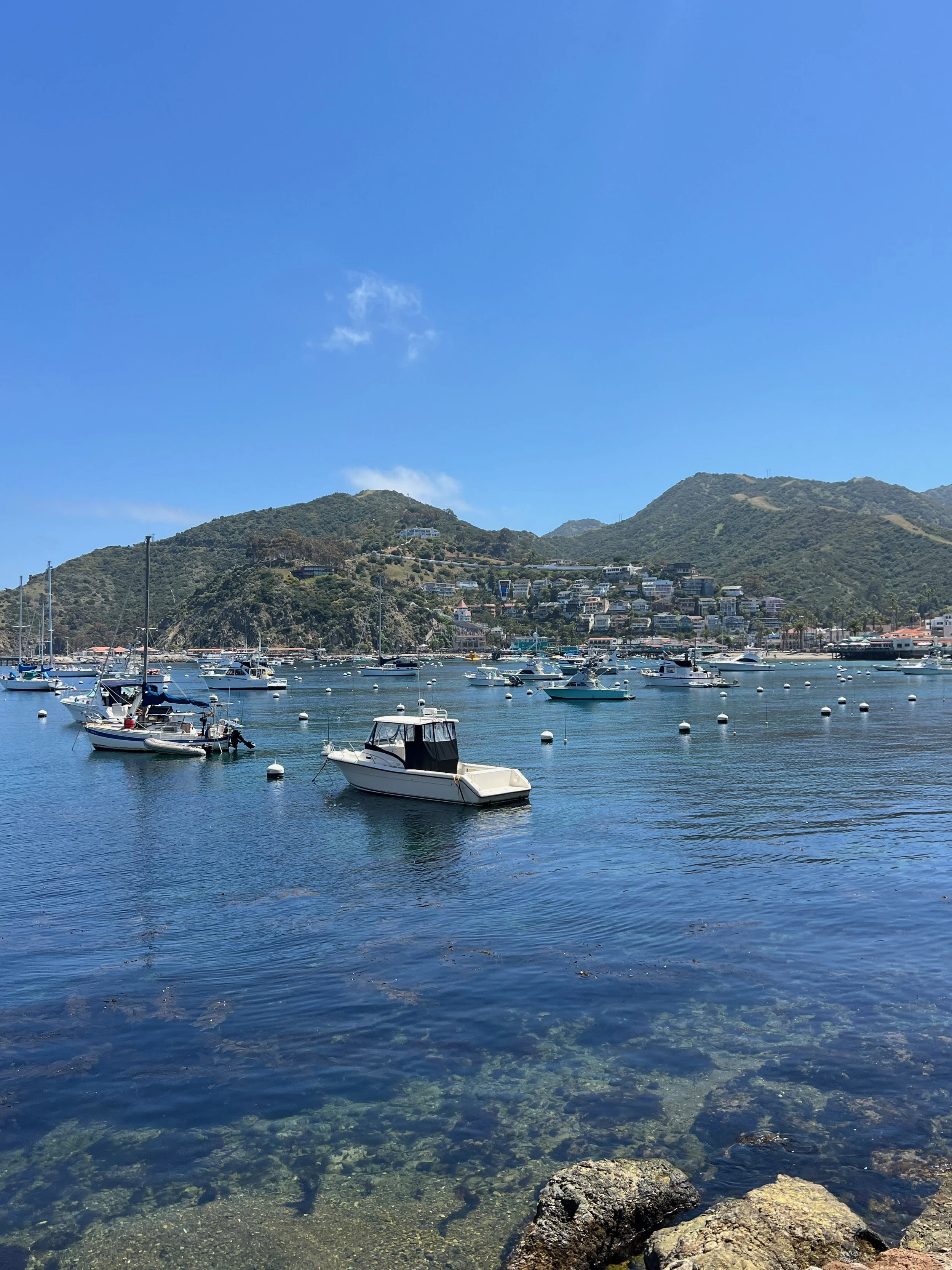 Catalina Island, CA
