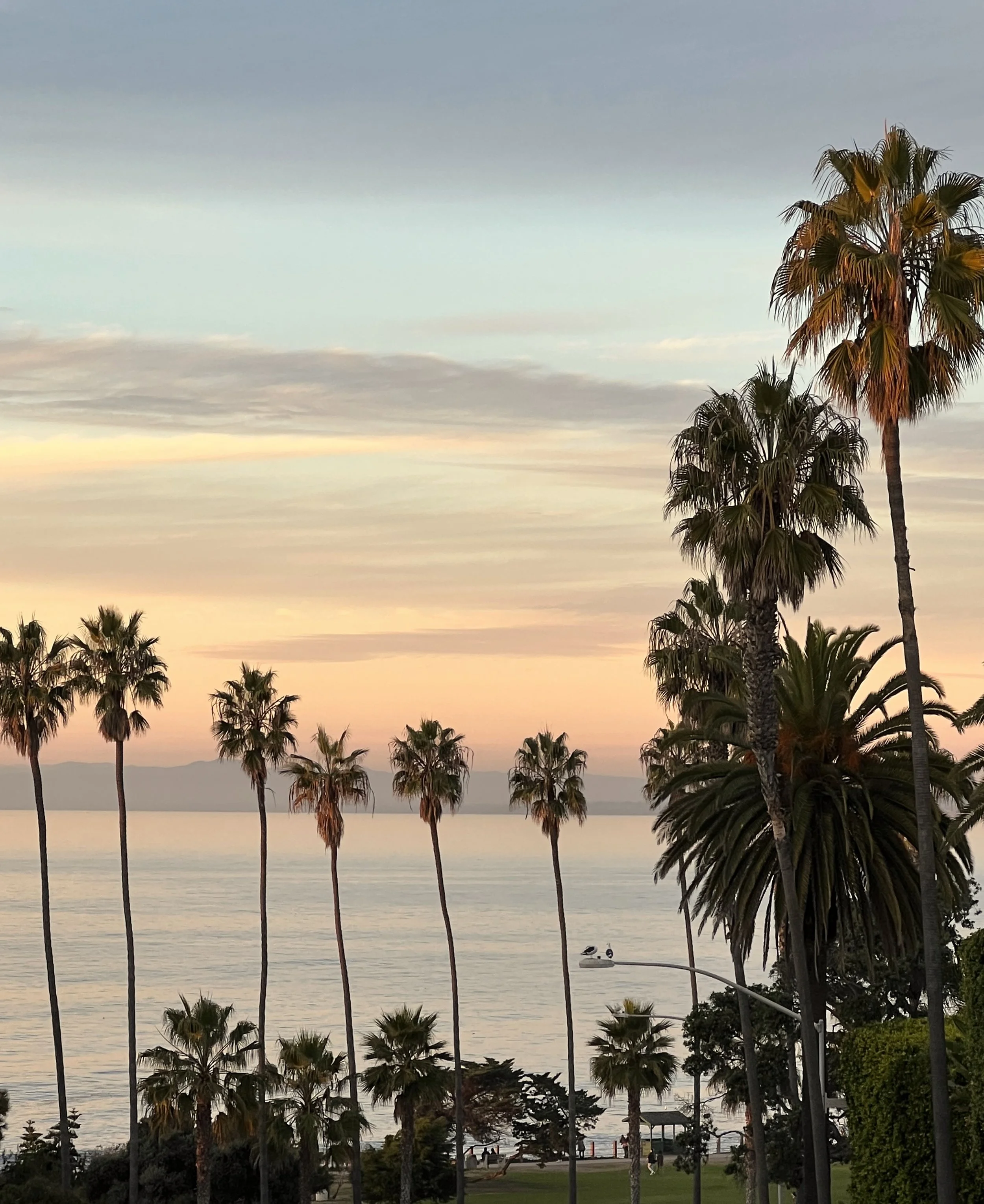 08-southern-california-palm-trees-sunset-travel-lifestyle.jpg