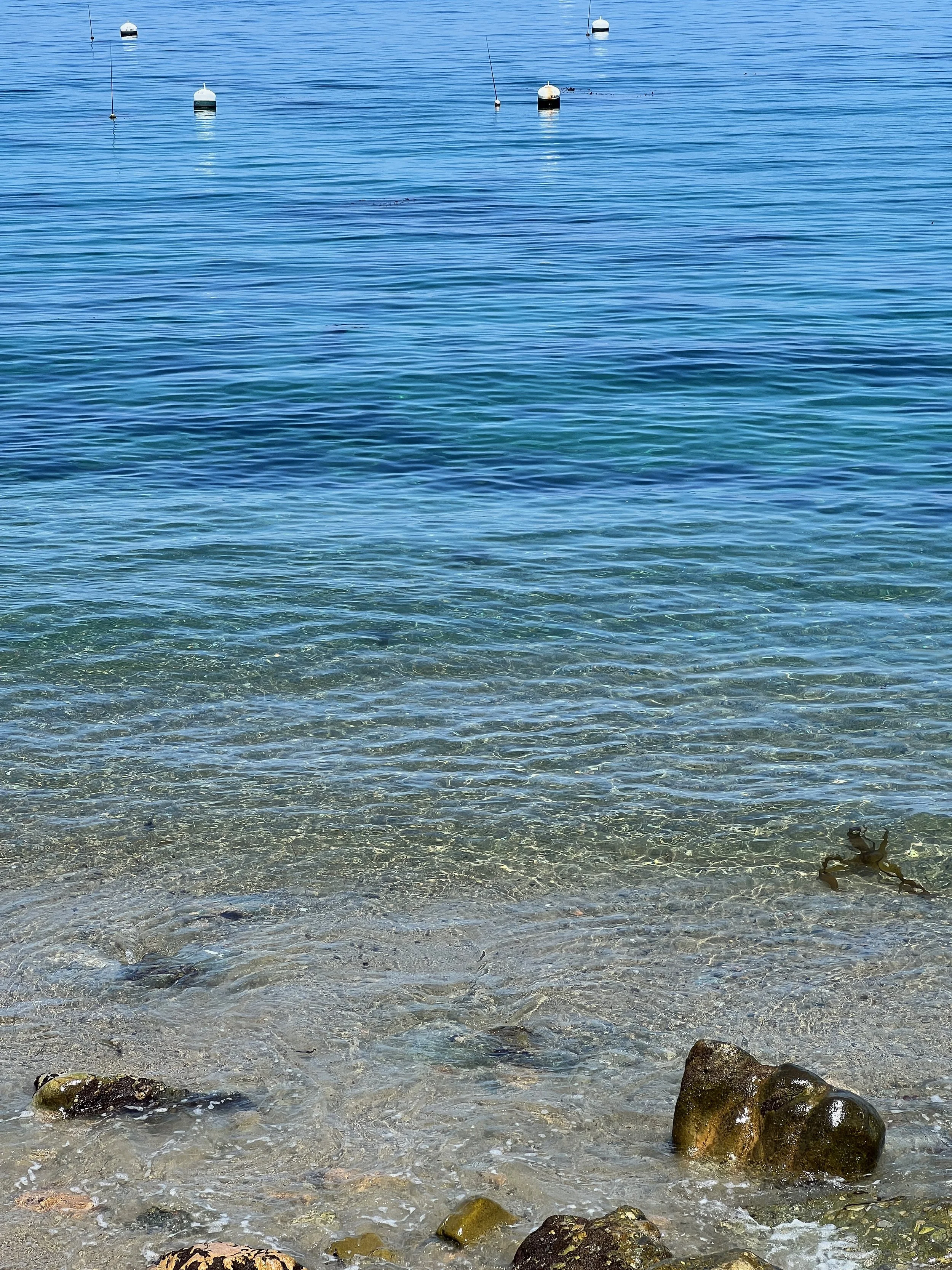 Catalina Island, CA