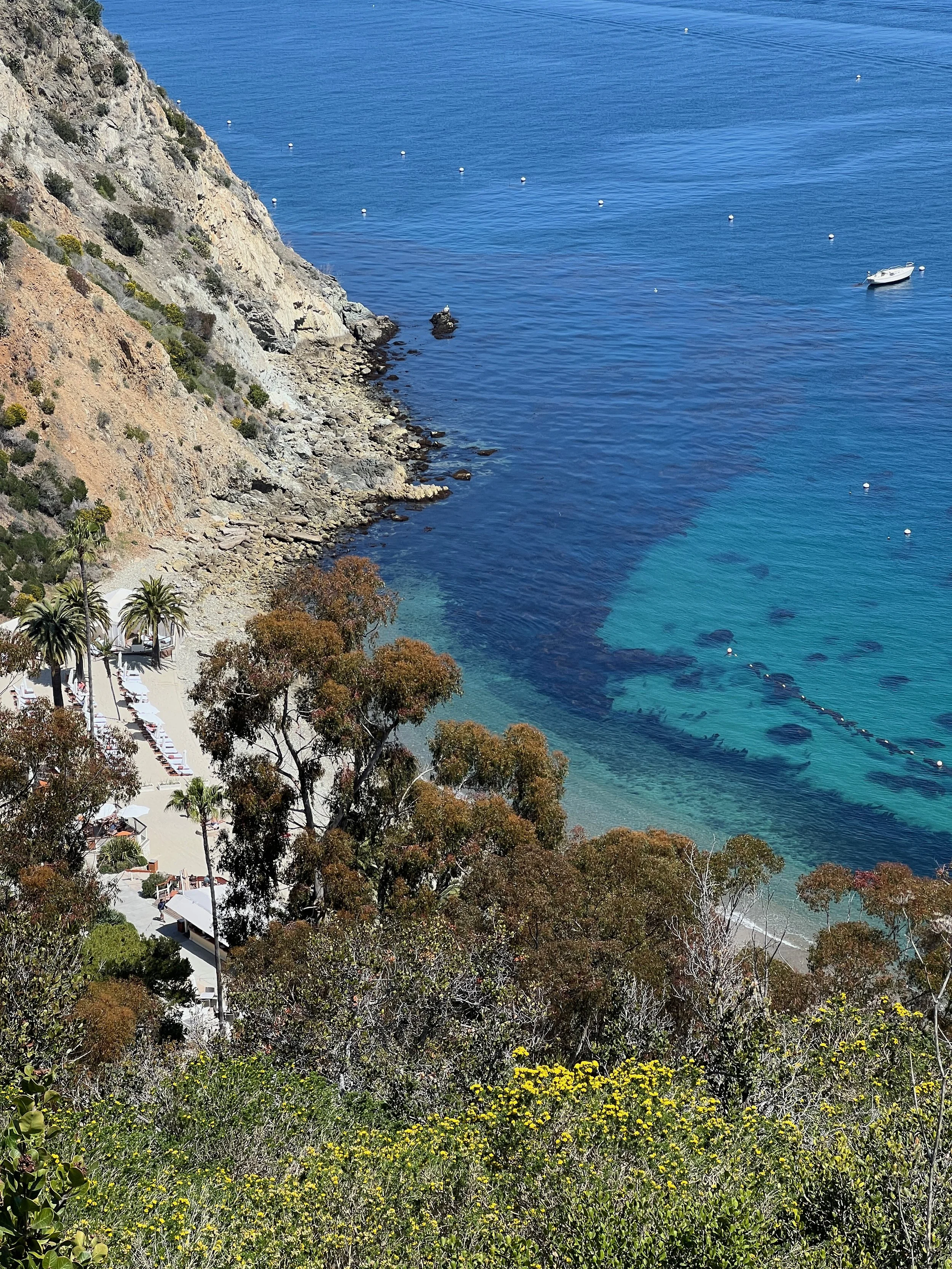Catalina Island, CA