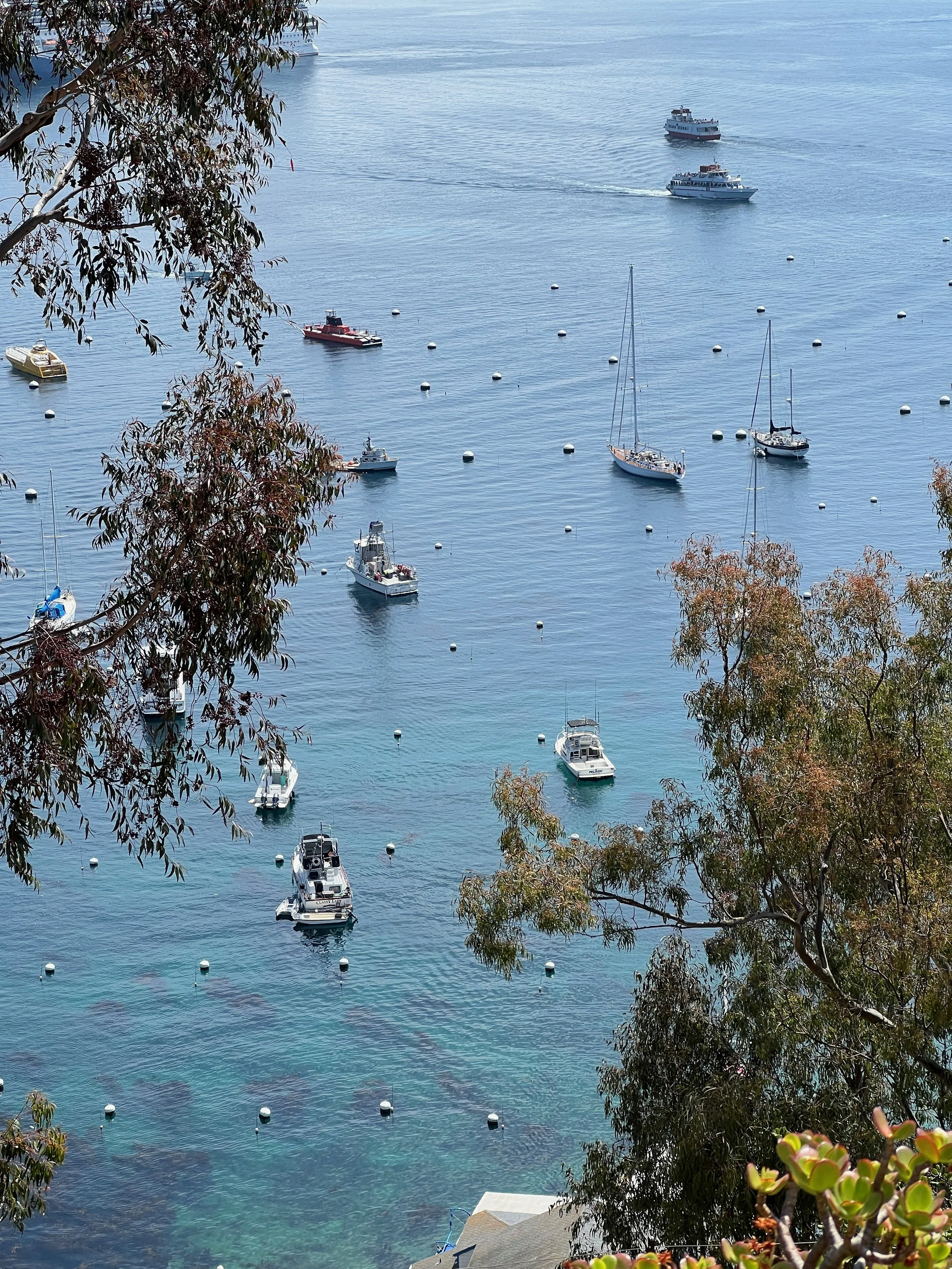 Catalina Island, CA