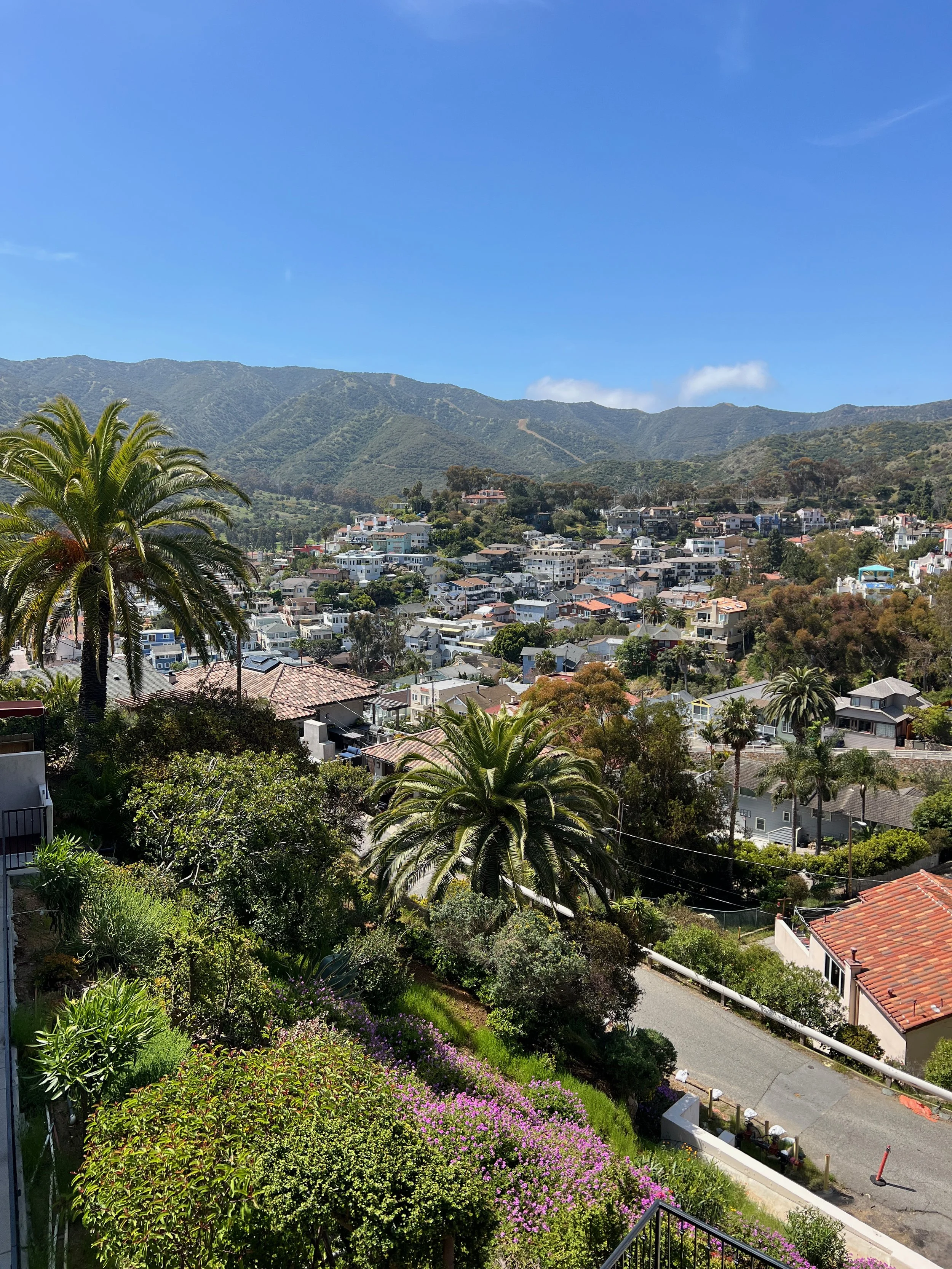 Catalina Island, CA