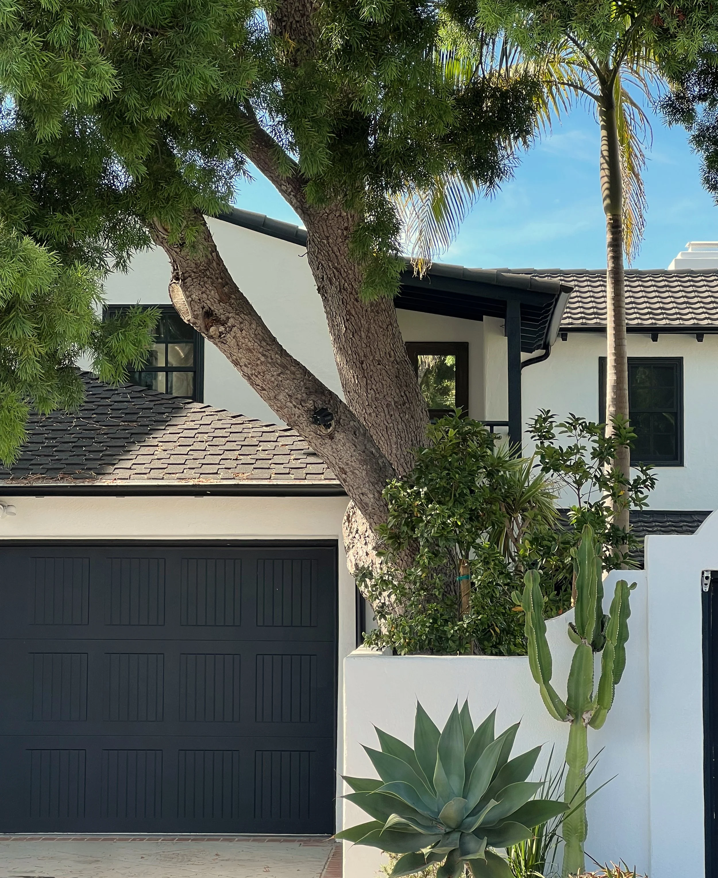04-modern-california-home-exterior-agave-lifestyle-content.jpg