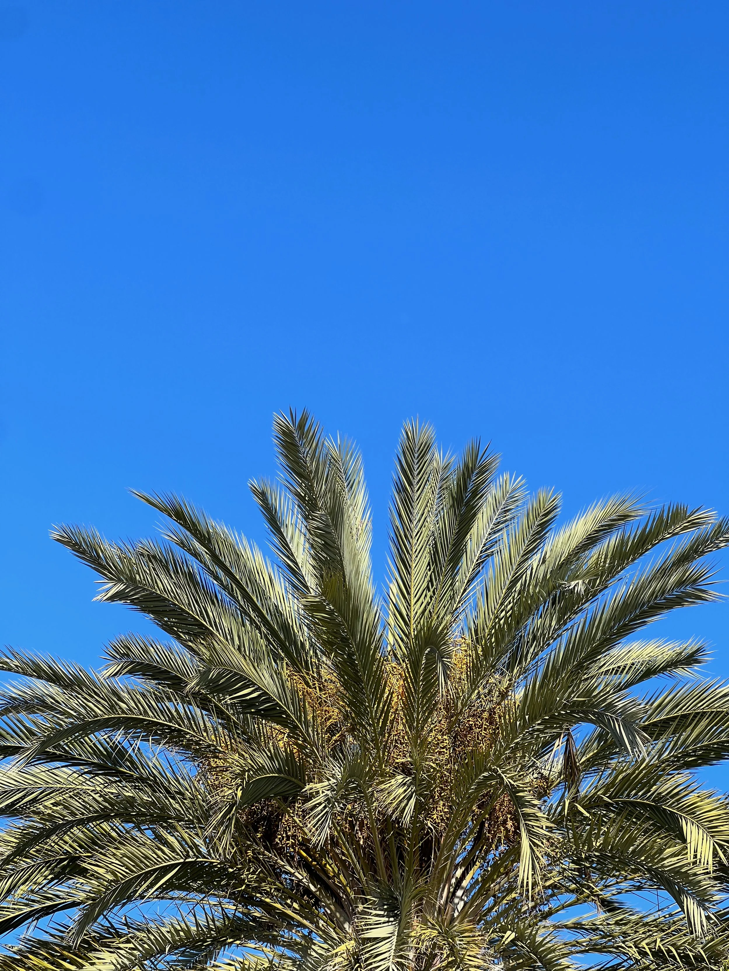 San Diego, CA