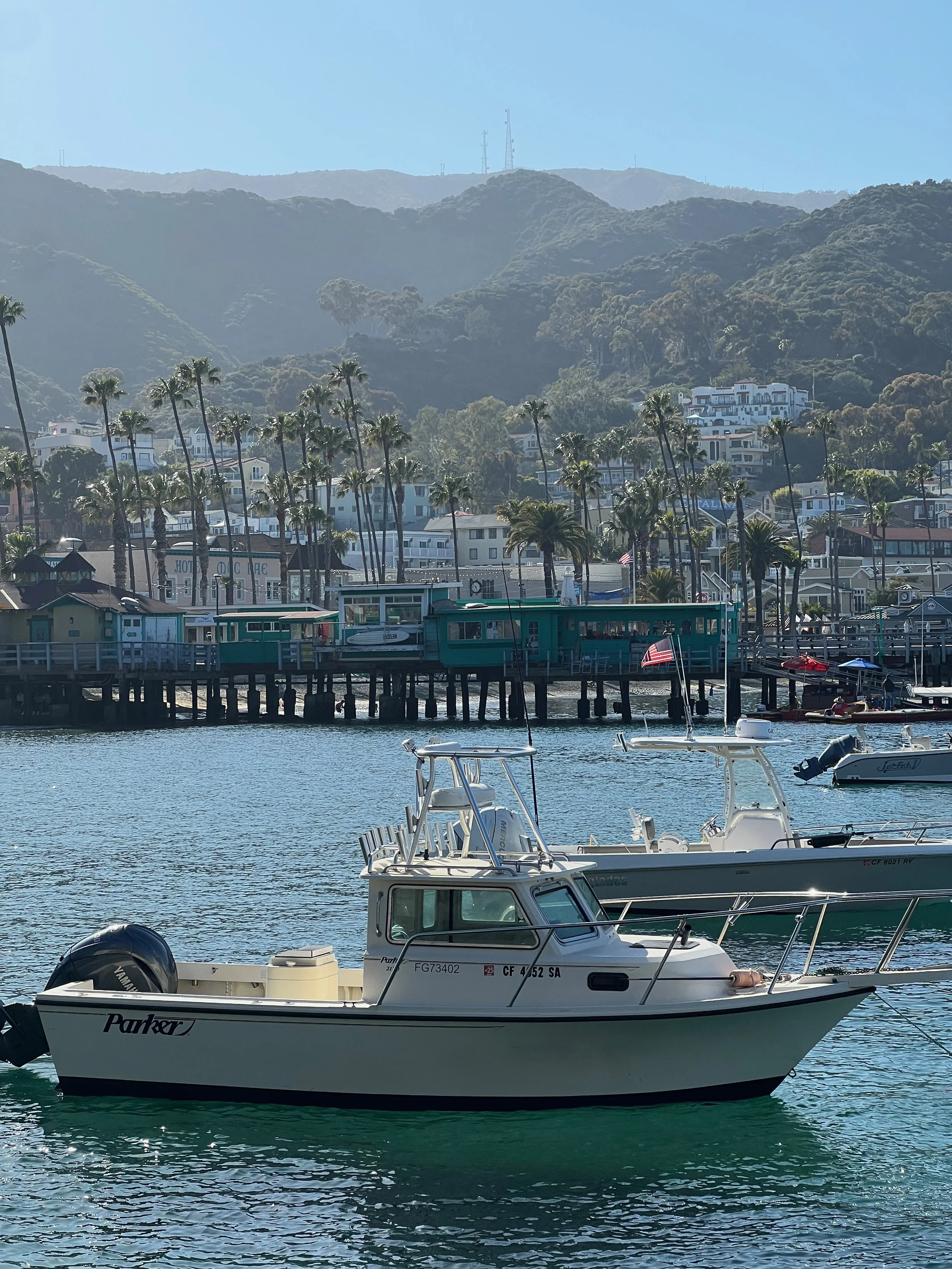 Catalina Island, CA