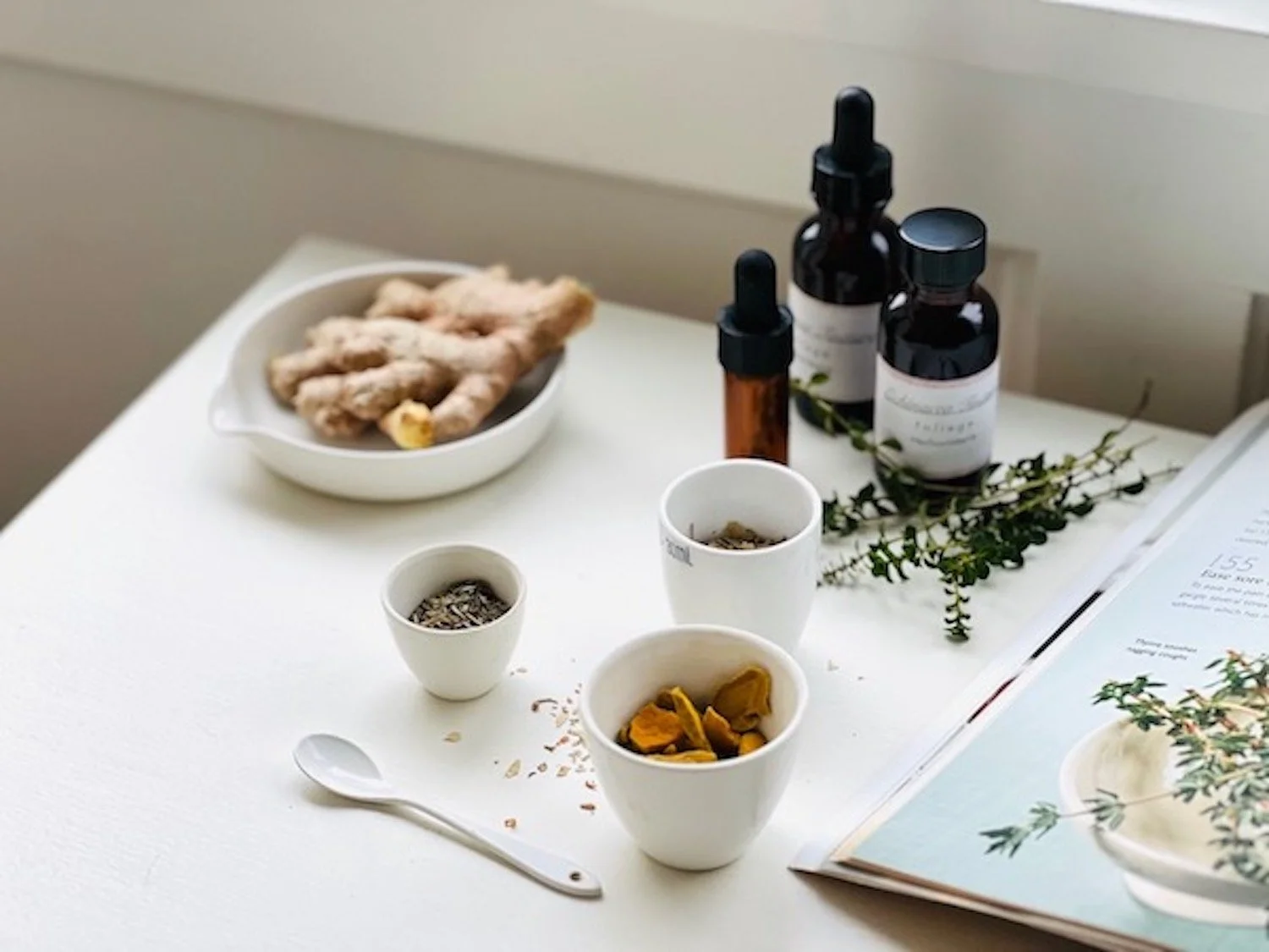 Cold Care / Medicinal Herb Class開催のお知らせ