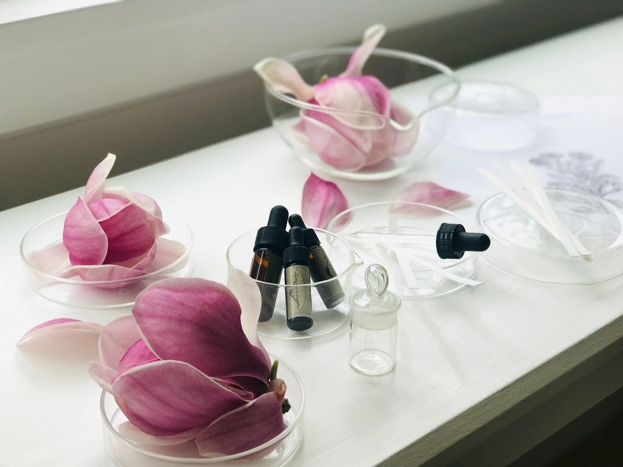 Aroma Gathering + Class