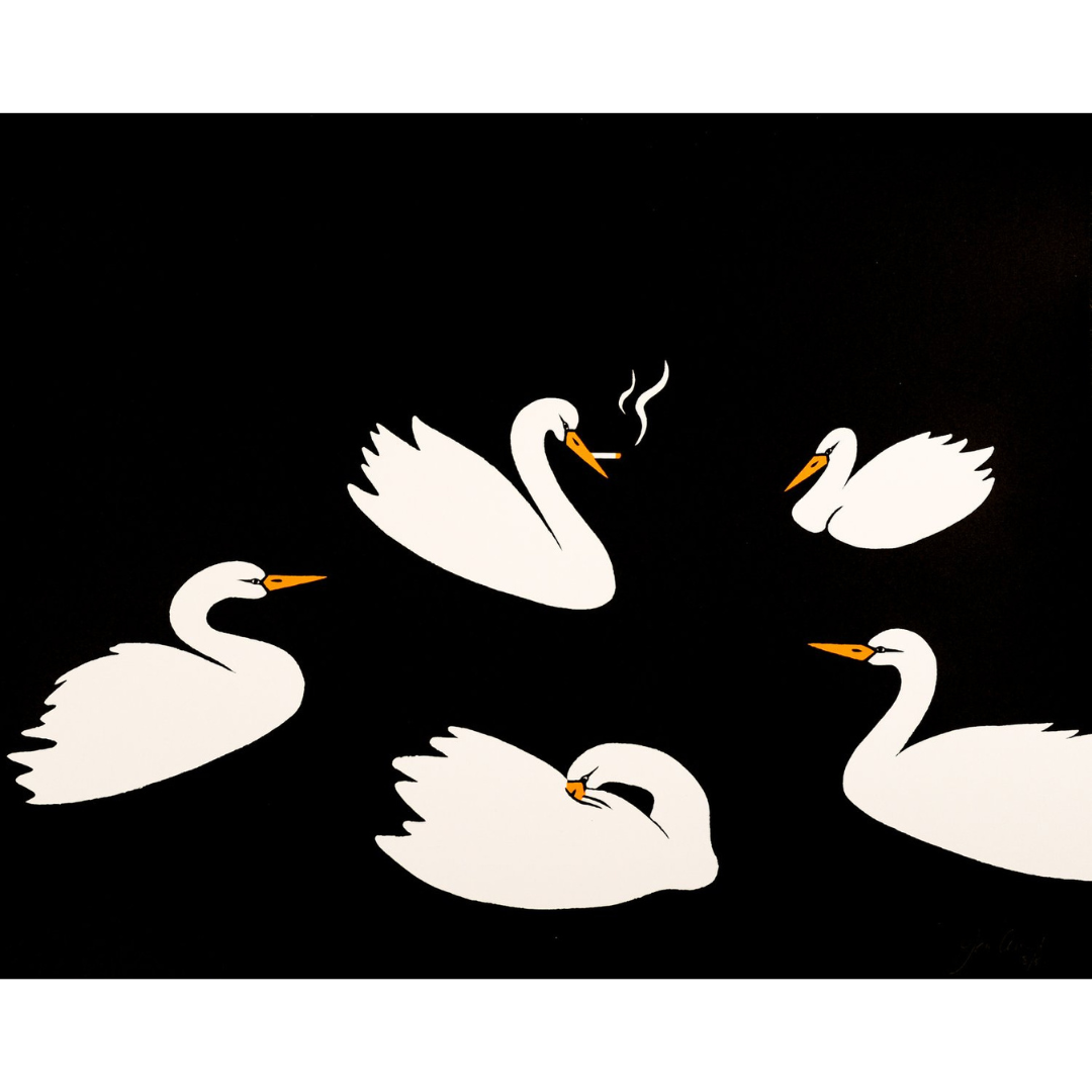 smoking+swans+black+square.webp