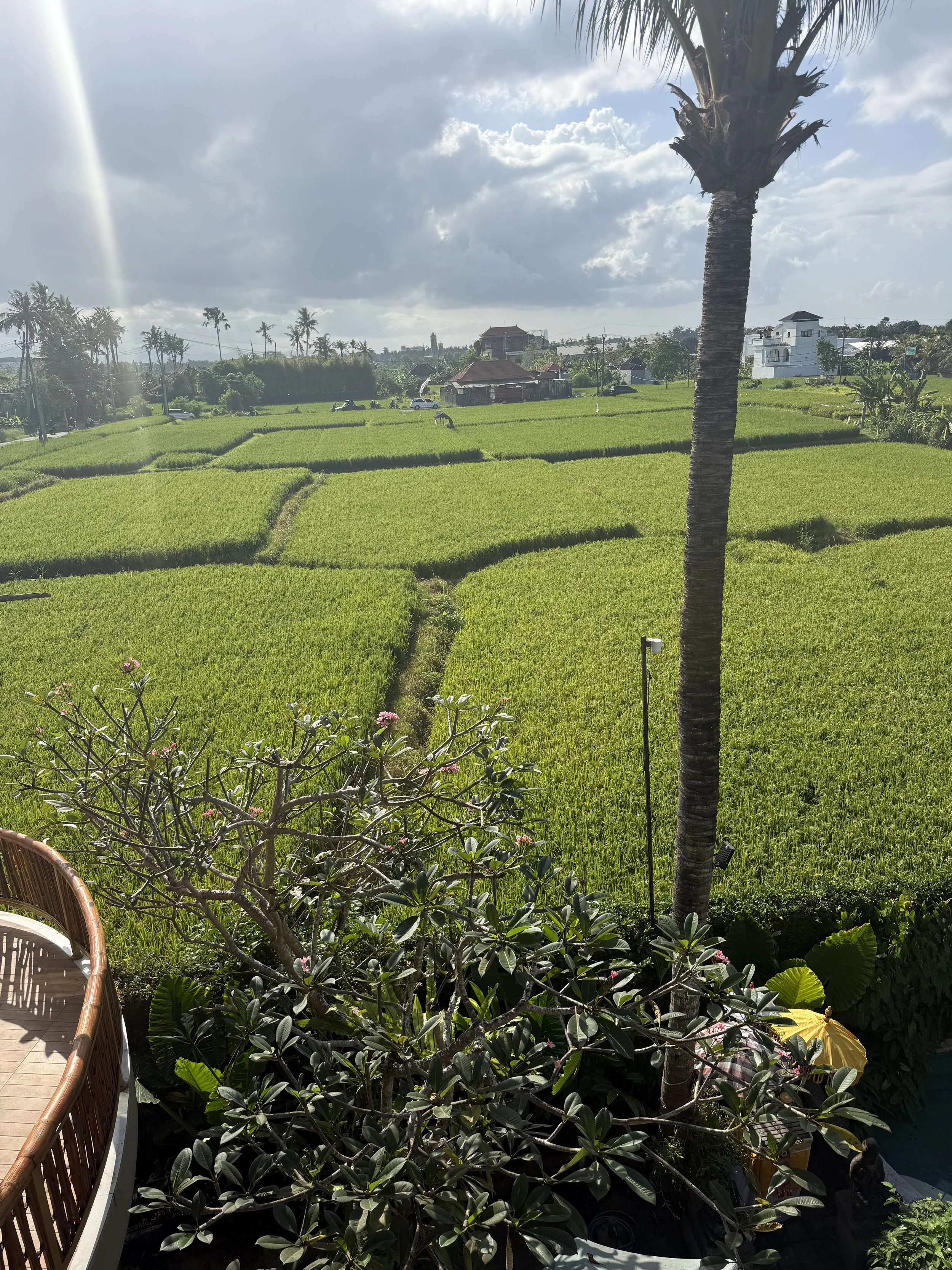 A Letter To Bali