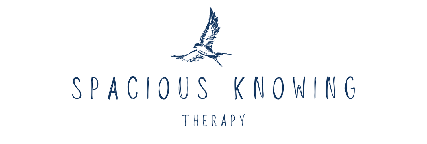 SPACIOUS KNOWING THERAPY