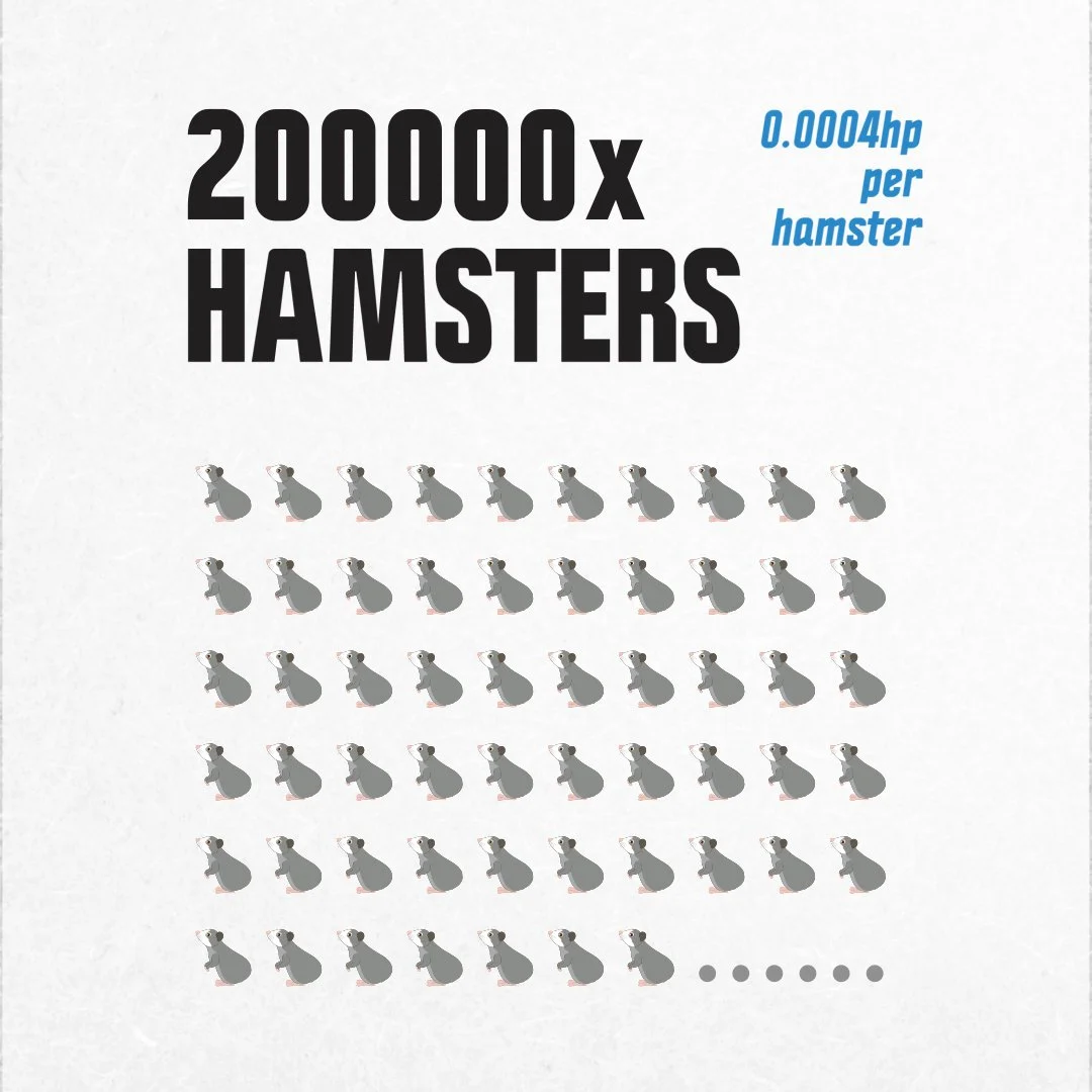 200000x Hamsters