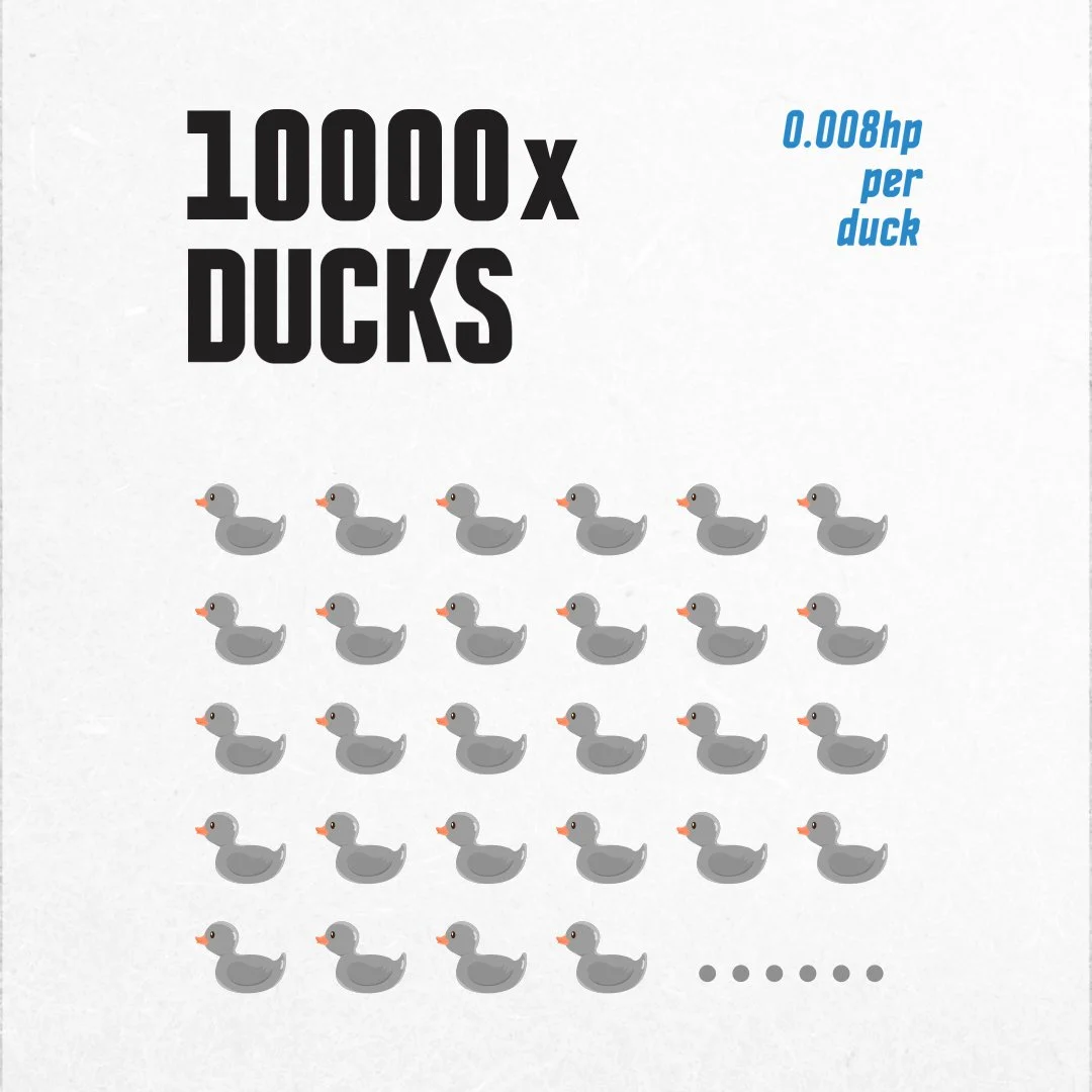 10000x Ducks