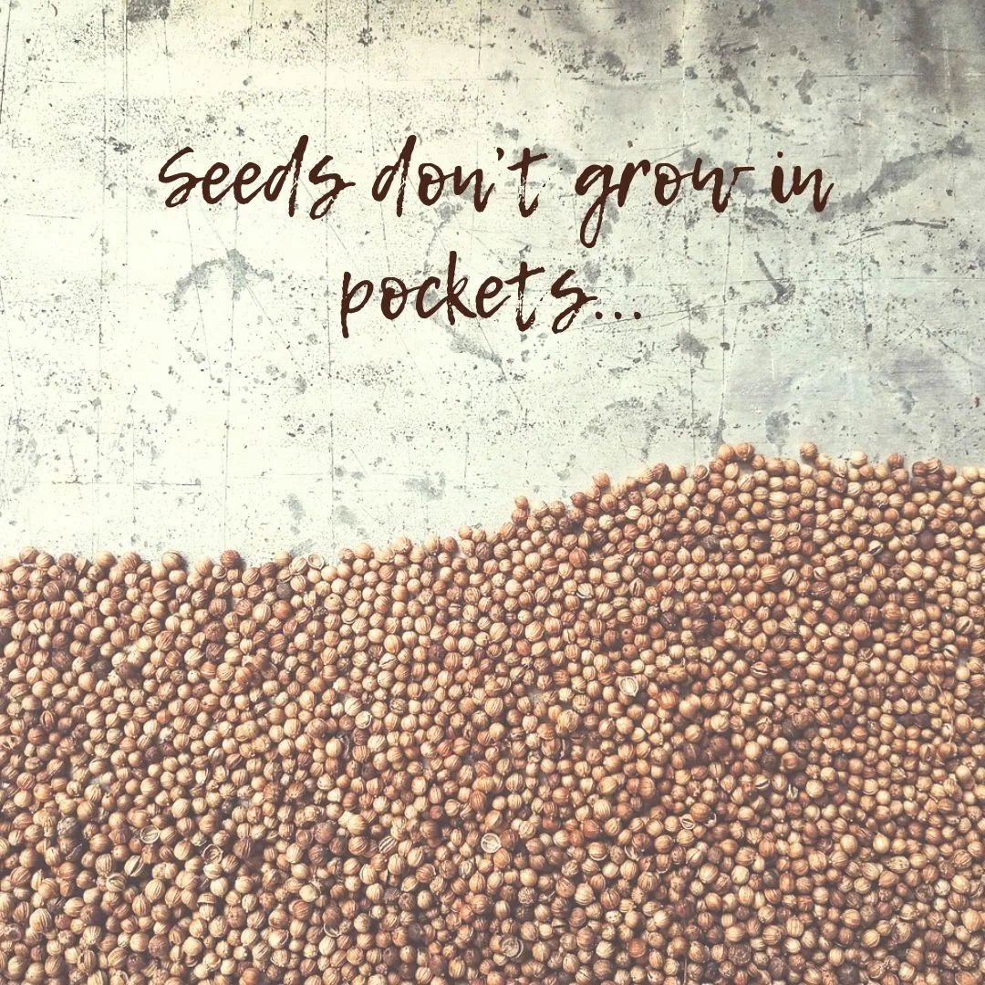 Seeds Don’t Grow in Pockets