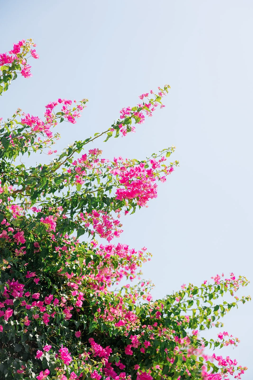 Natalie Stevenson Photography-122.jpg