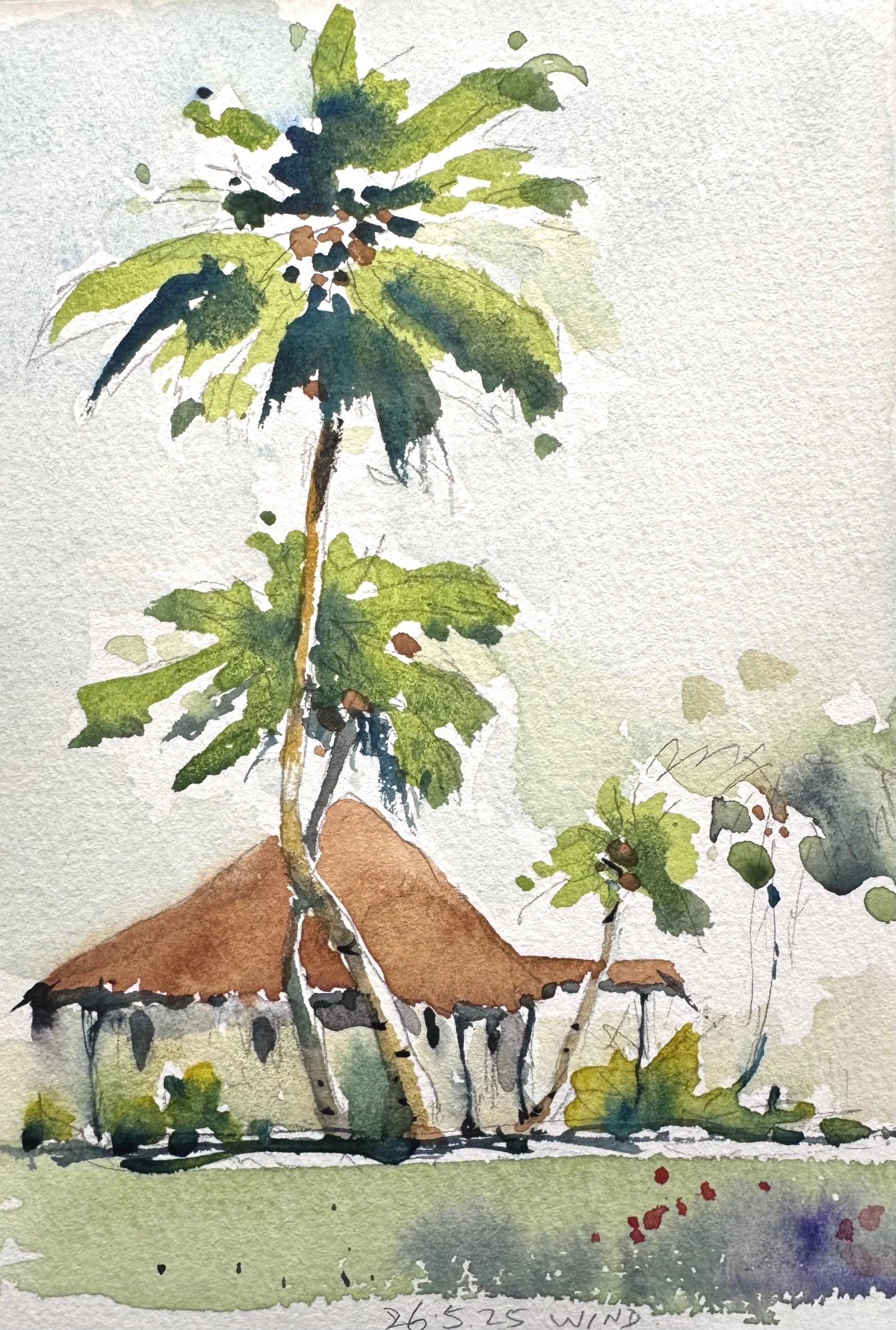 Bula!