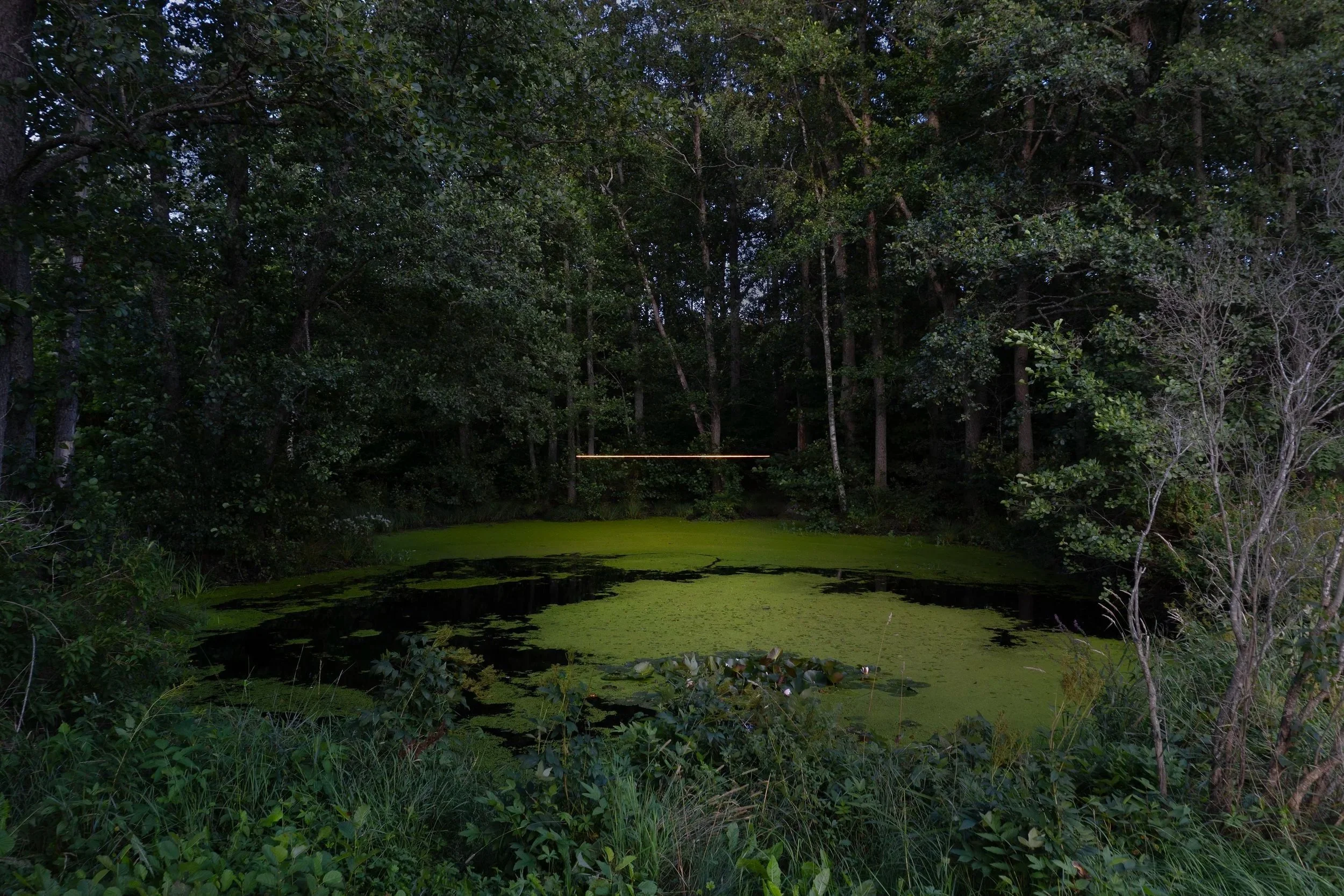 Pond Light