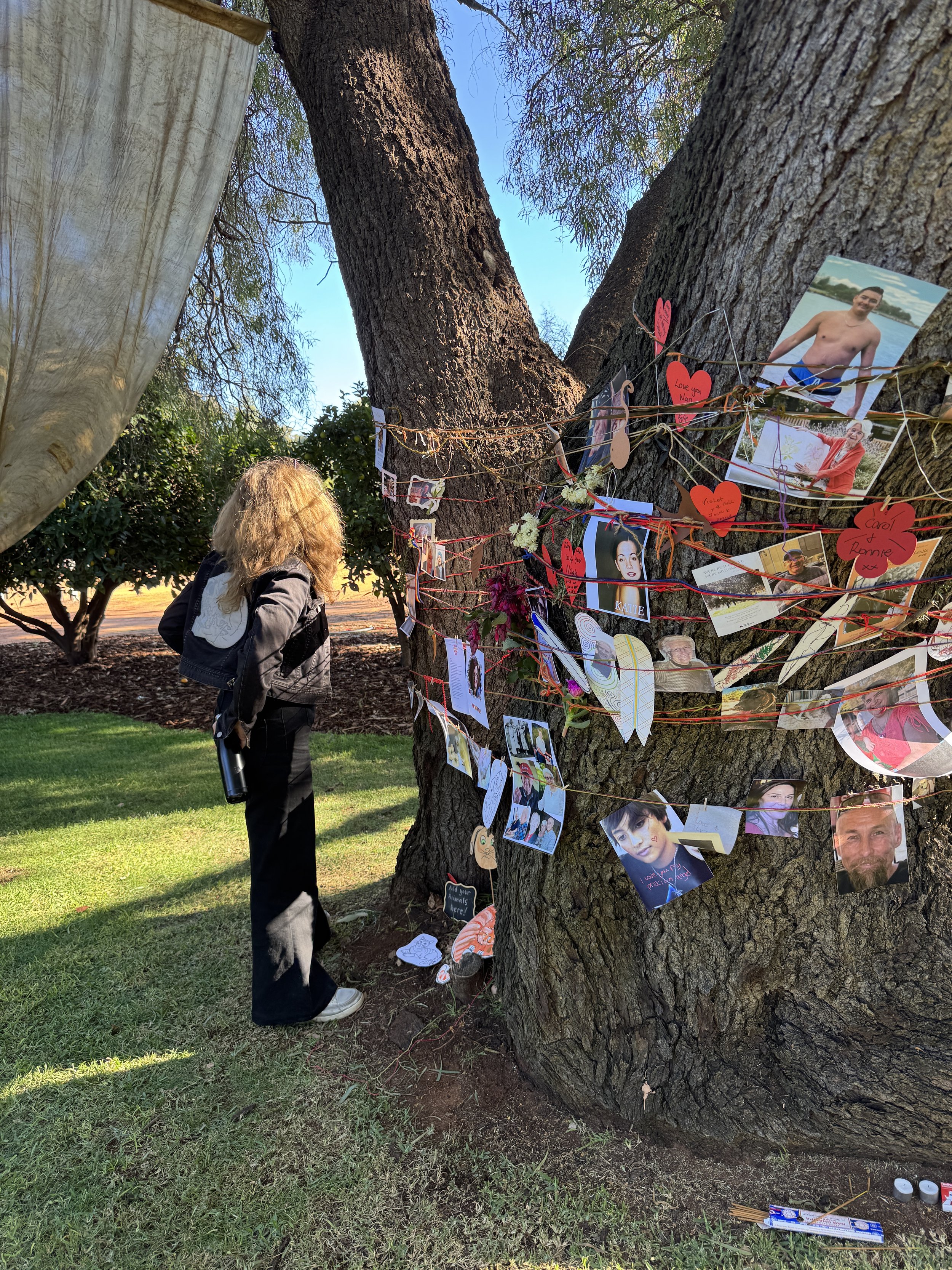 MemoryTree.JPG