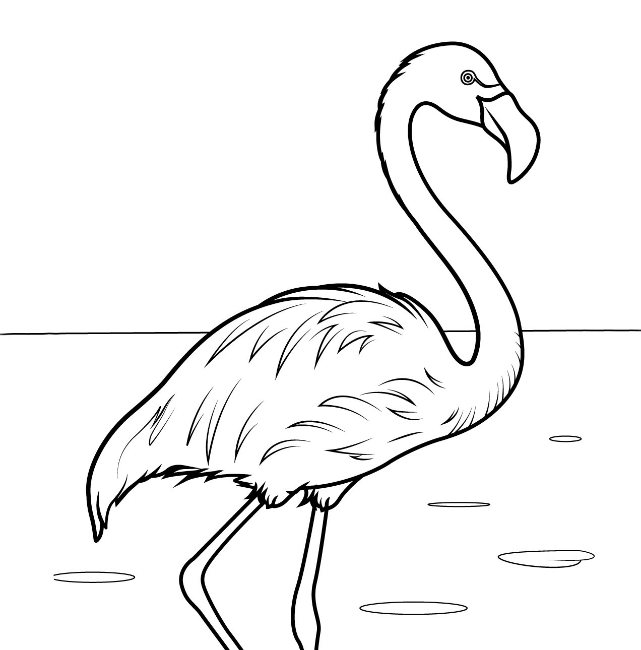 Flamingo