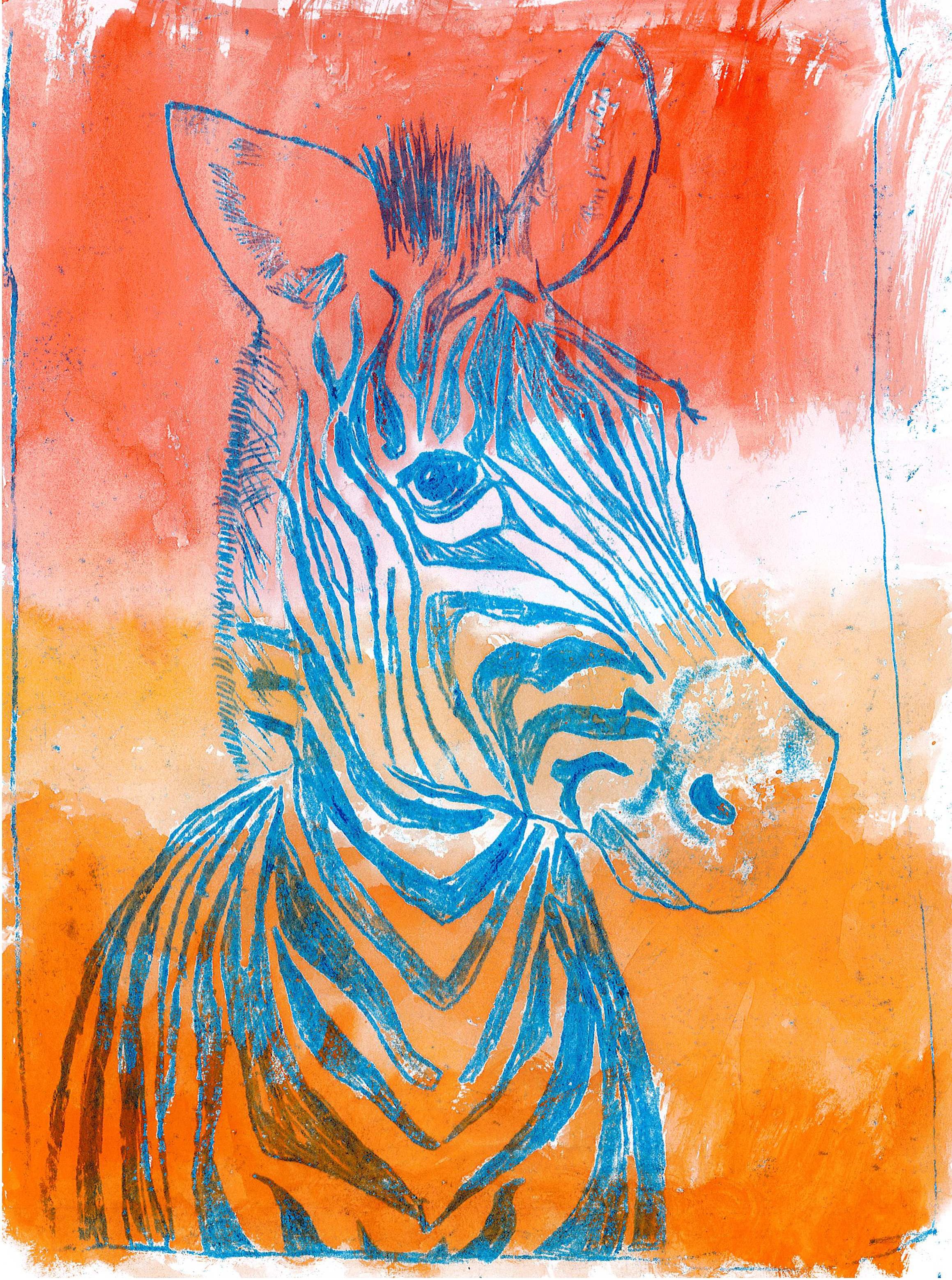 zebra1.jpg
