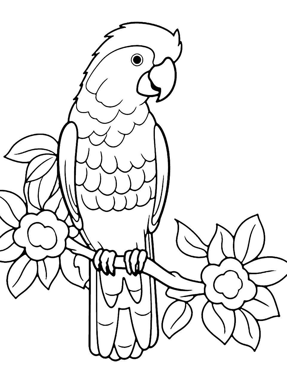 Parrot