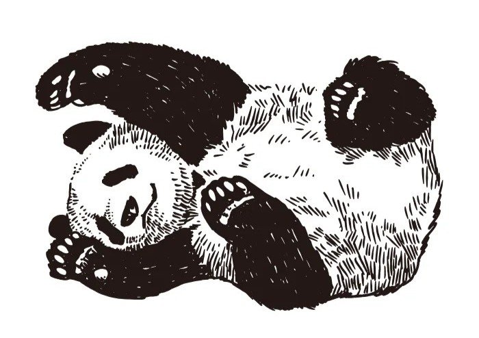 5 PANDAA.jpg