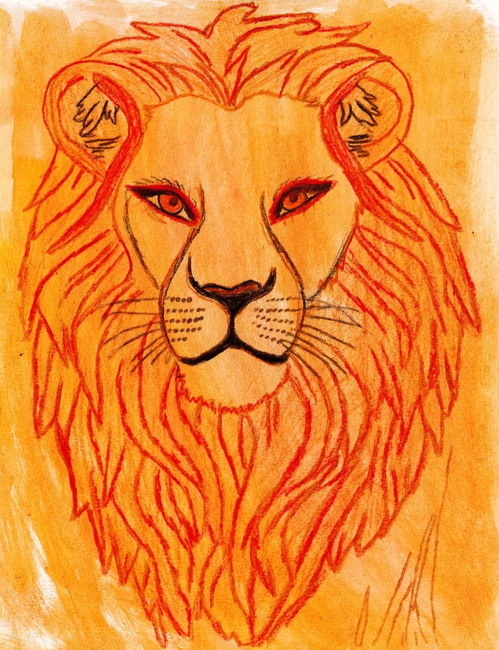 4 lion.jpg