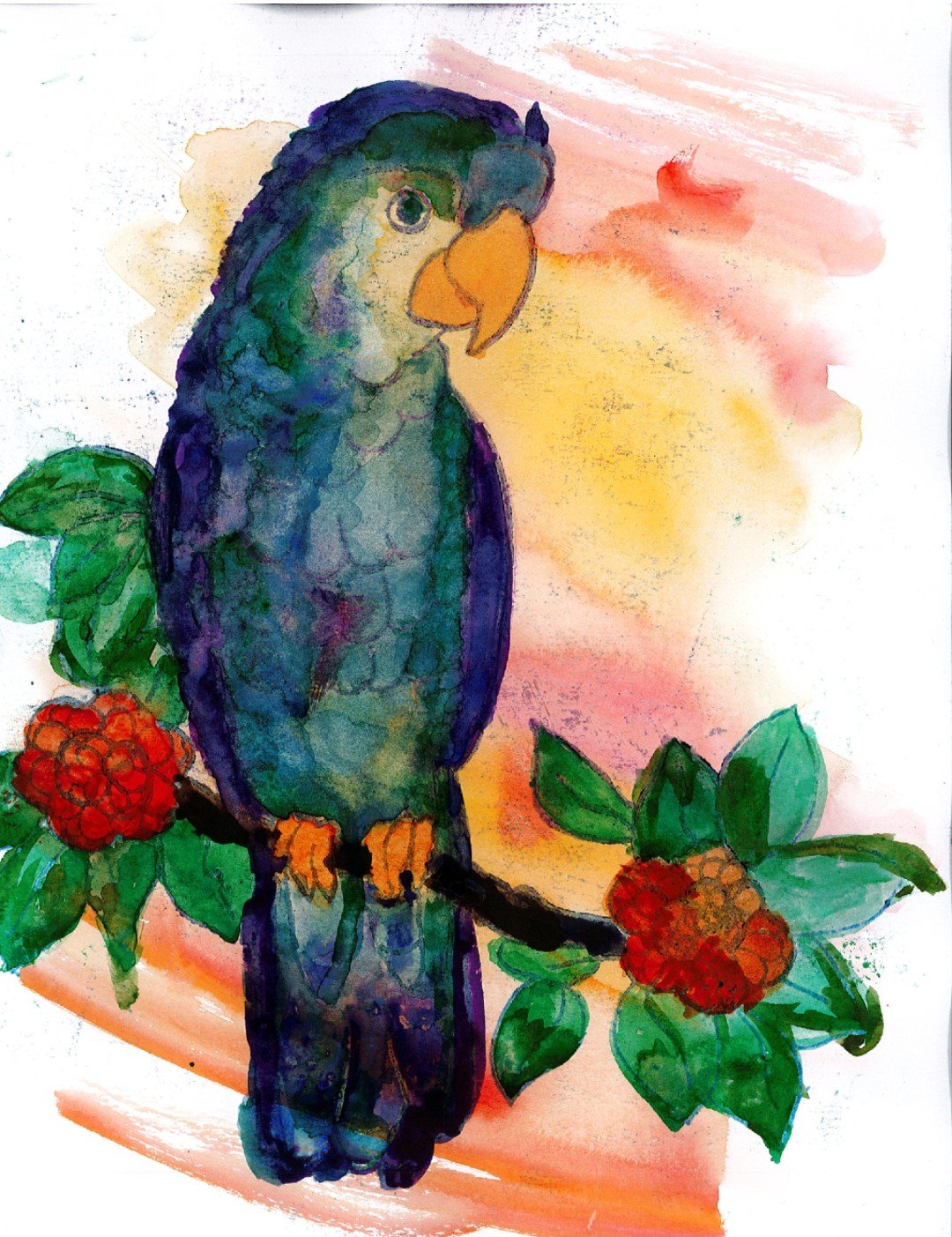 6 parrot.jpg