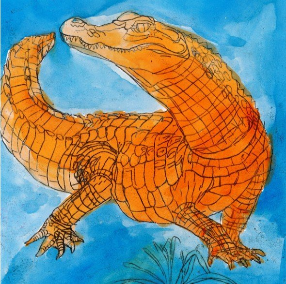 alligator.jpg