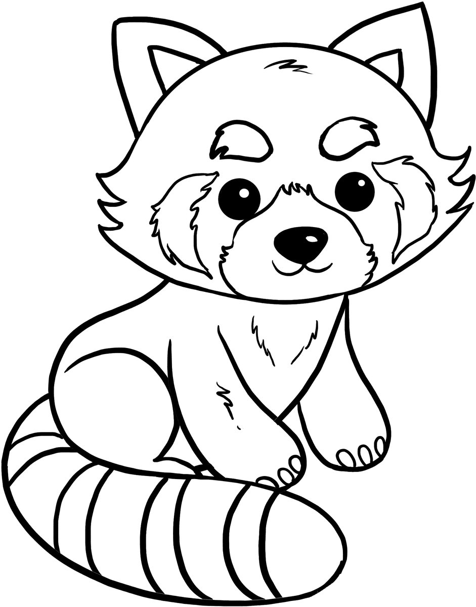 Red Panda