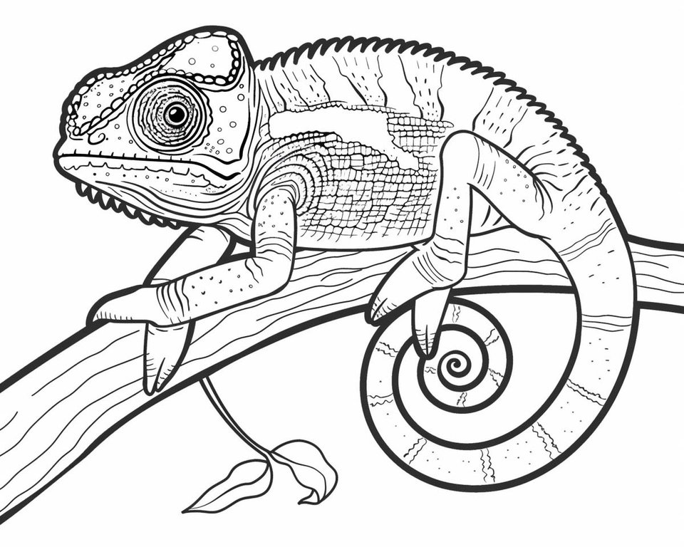 7 CHAMELEONN.jpg