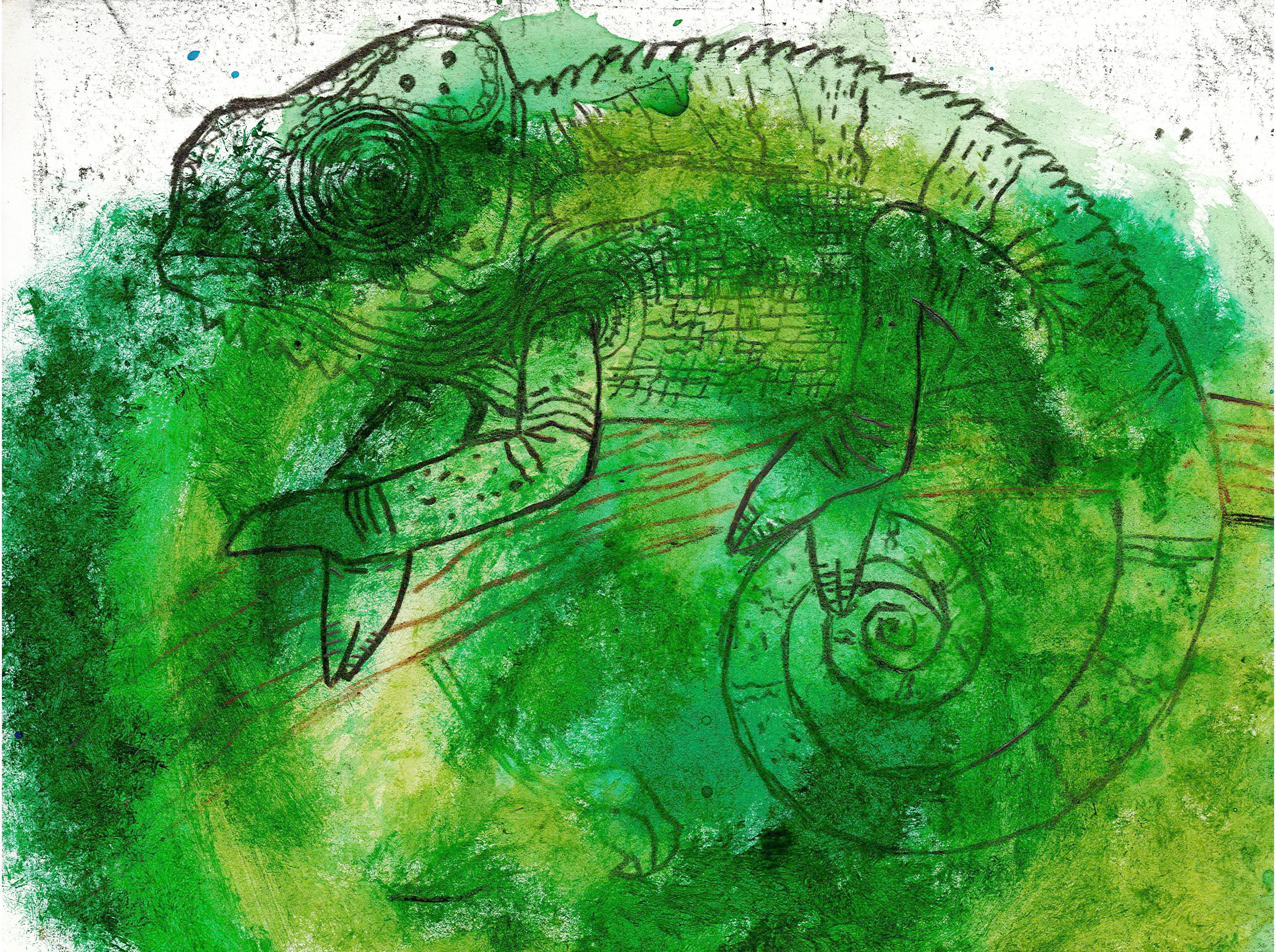 chameleon.png