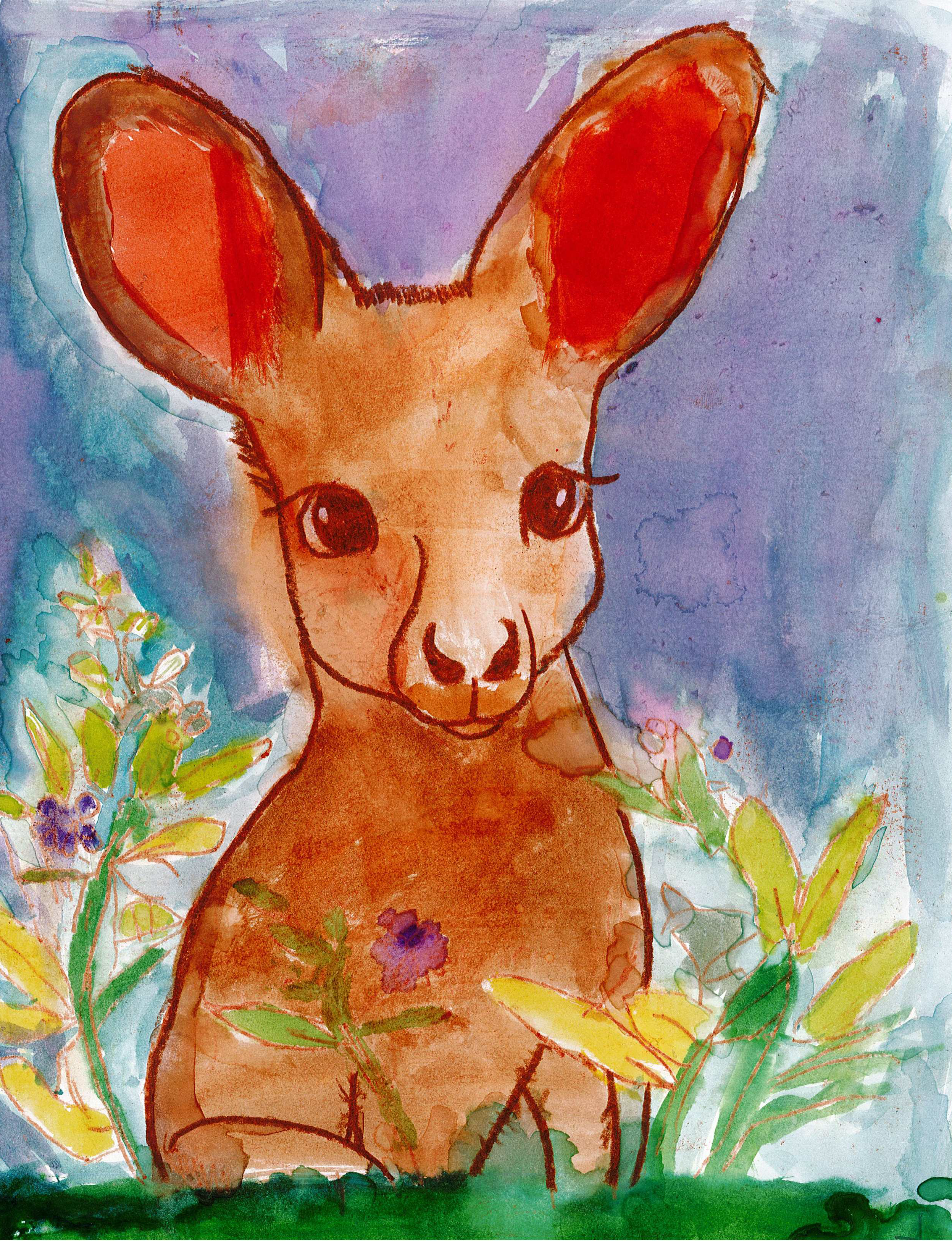 kangaroo.png