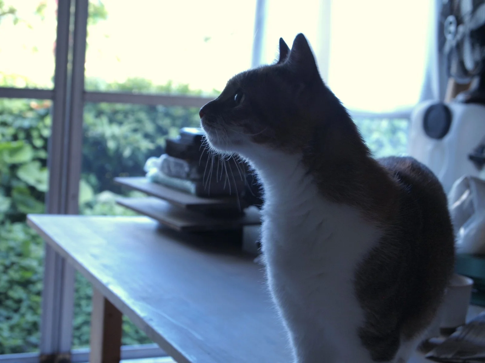 2015年7月14日