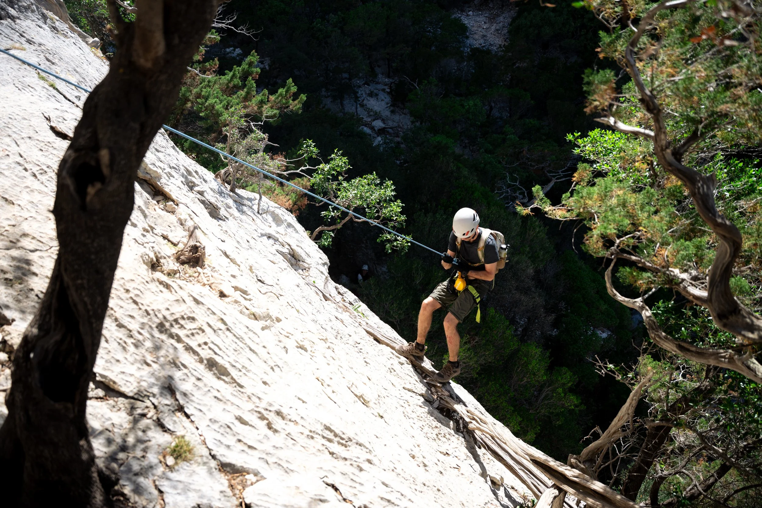 repelling-down.JPEG
