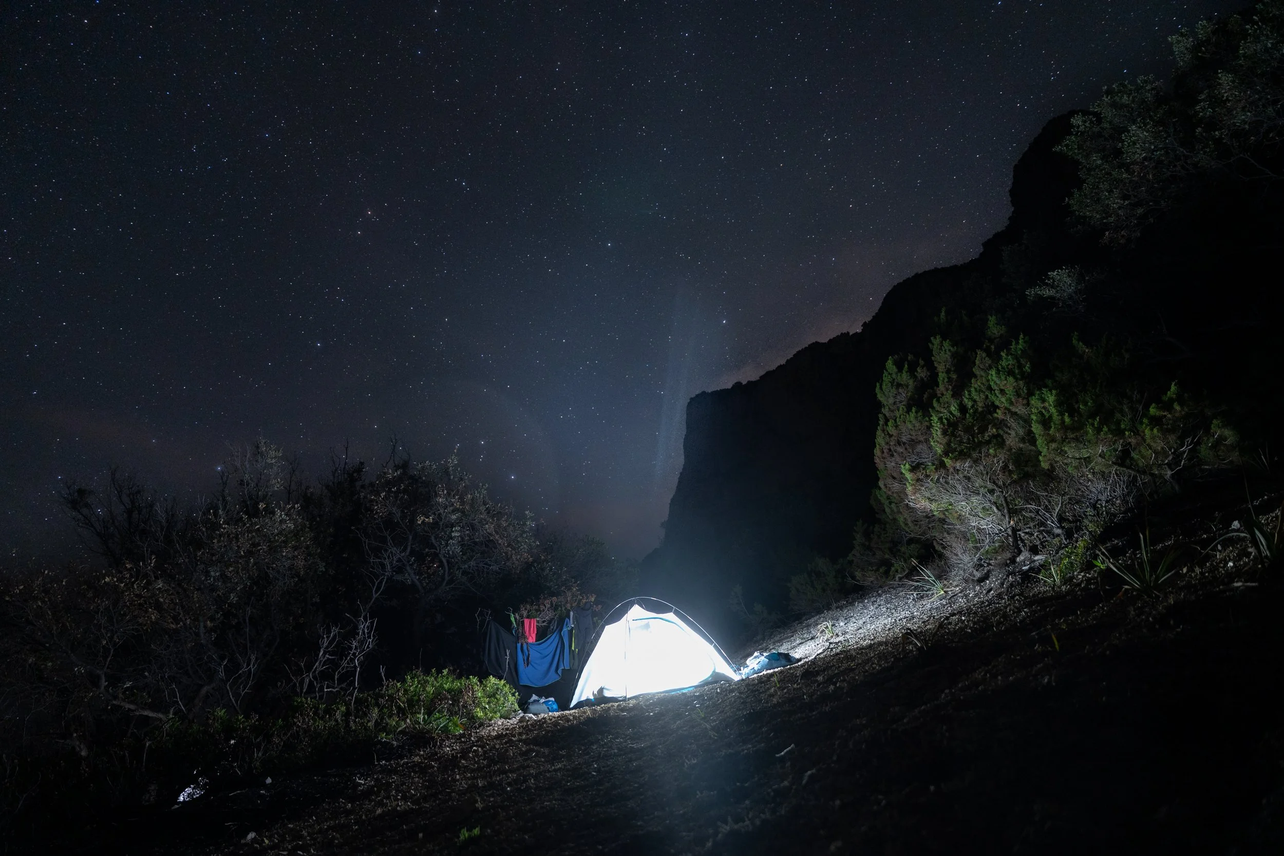 night-stars-selvaggio.JPEG
