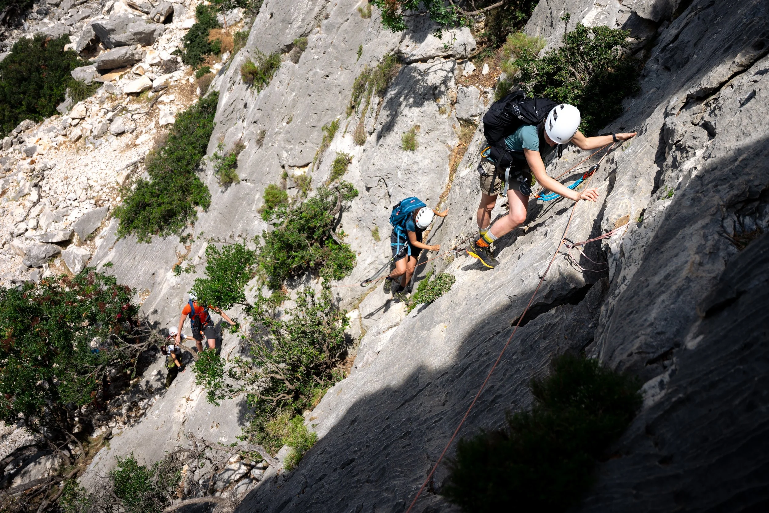 climbing-wild-blue.JPEG