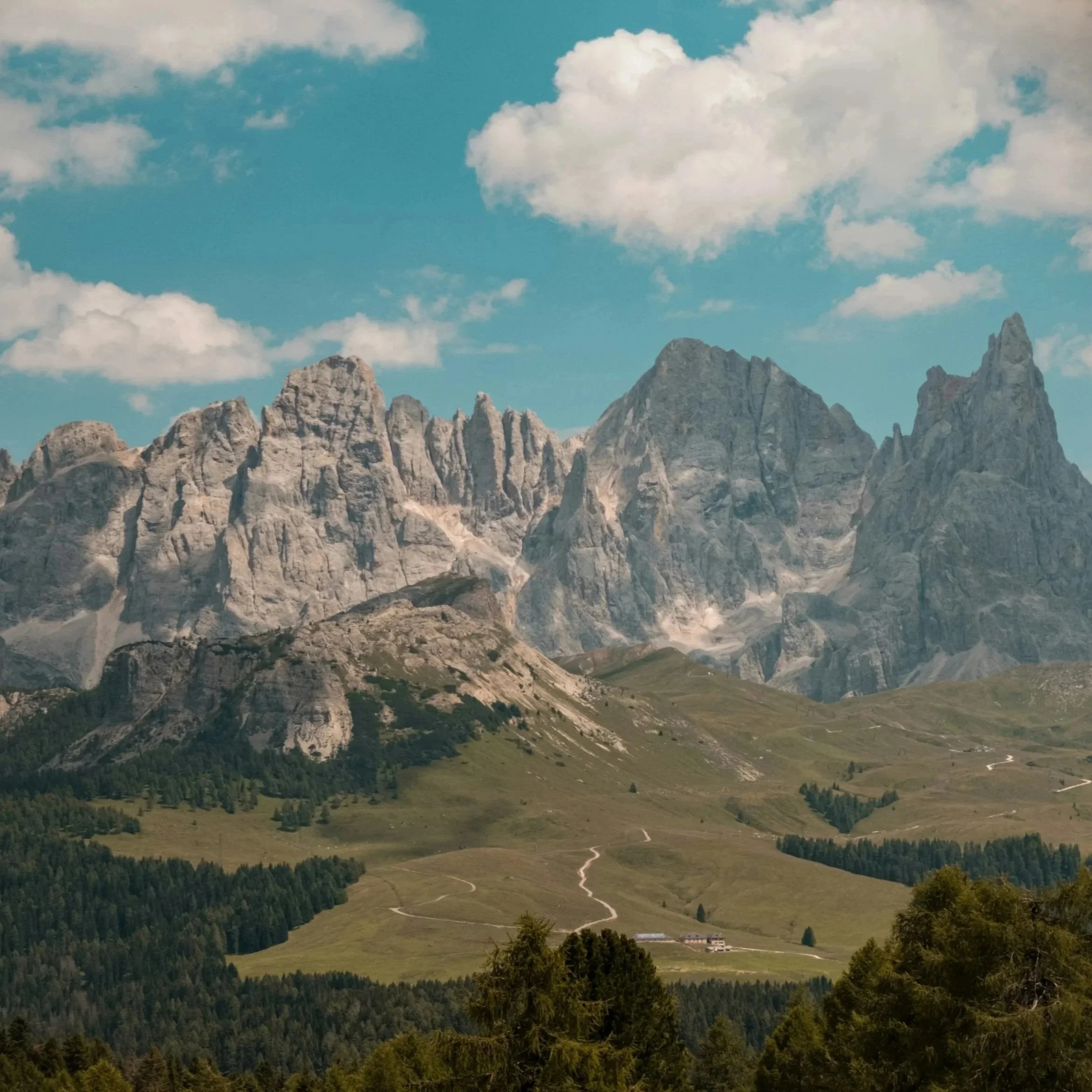 Pale di san martino via ferrata trek 