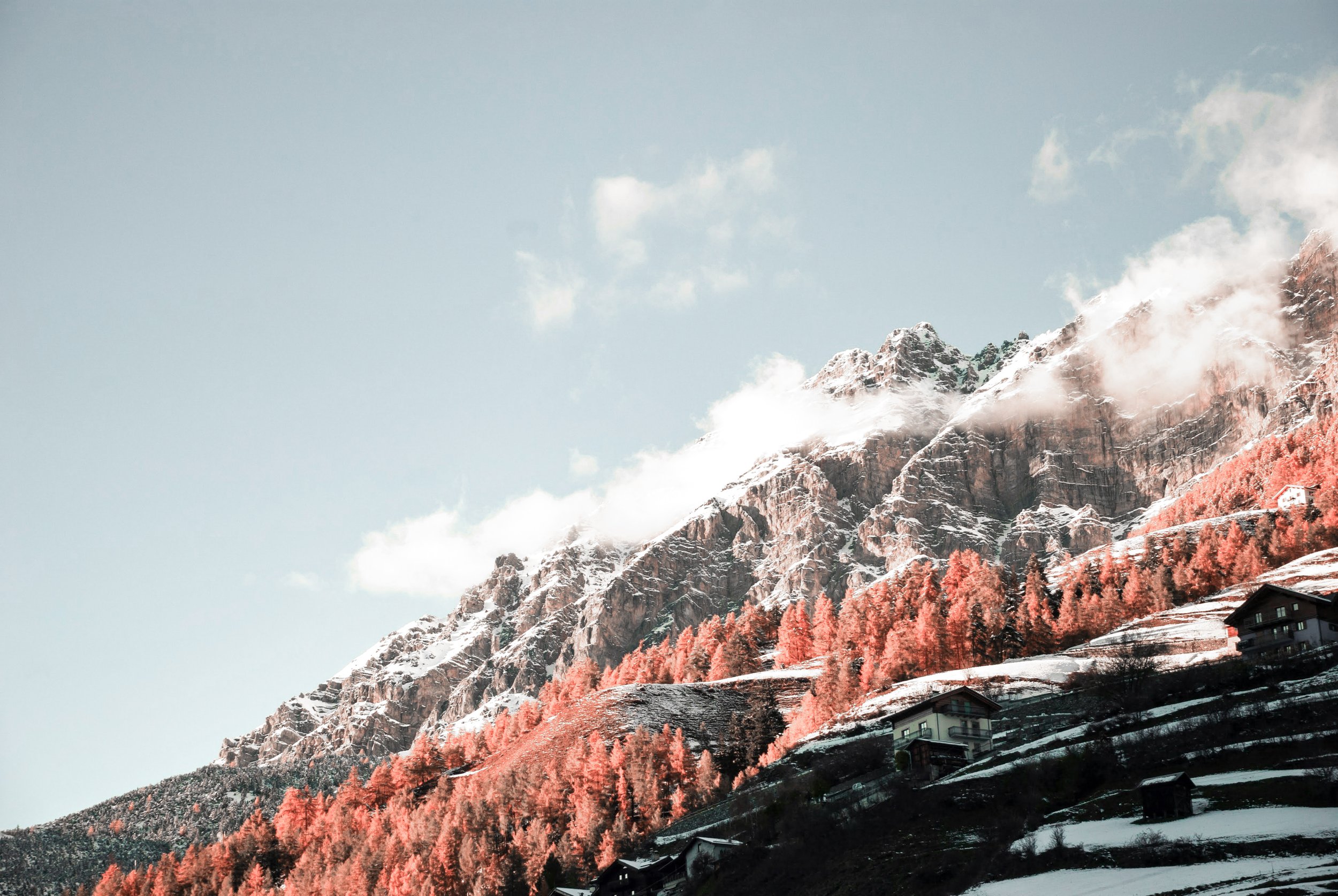 bormio-milano-cortina-ski-safari-olympics.jpeg