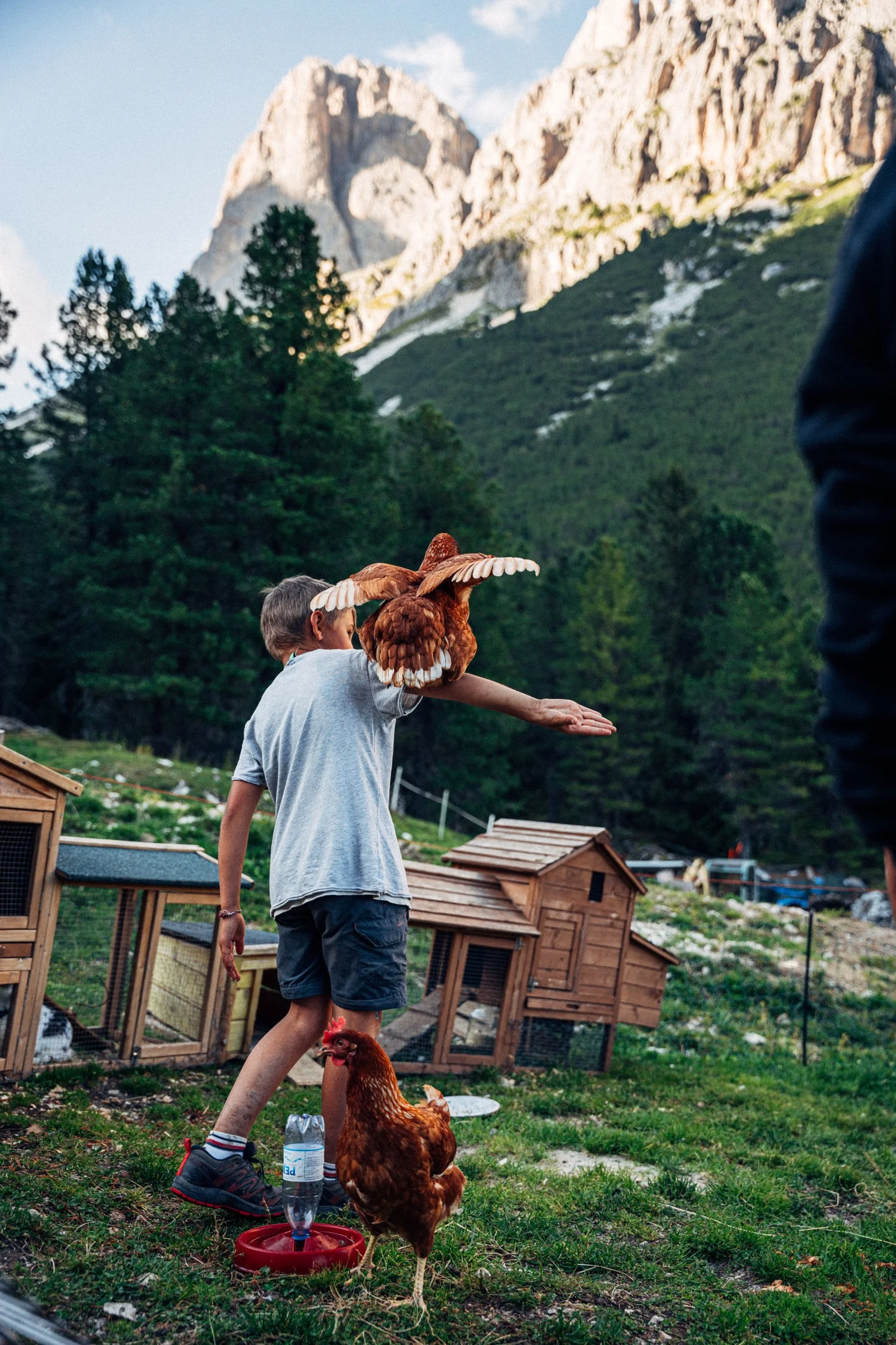 Rifugio authentic life in the Dolomites