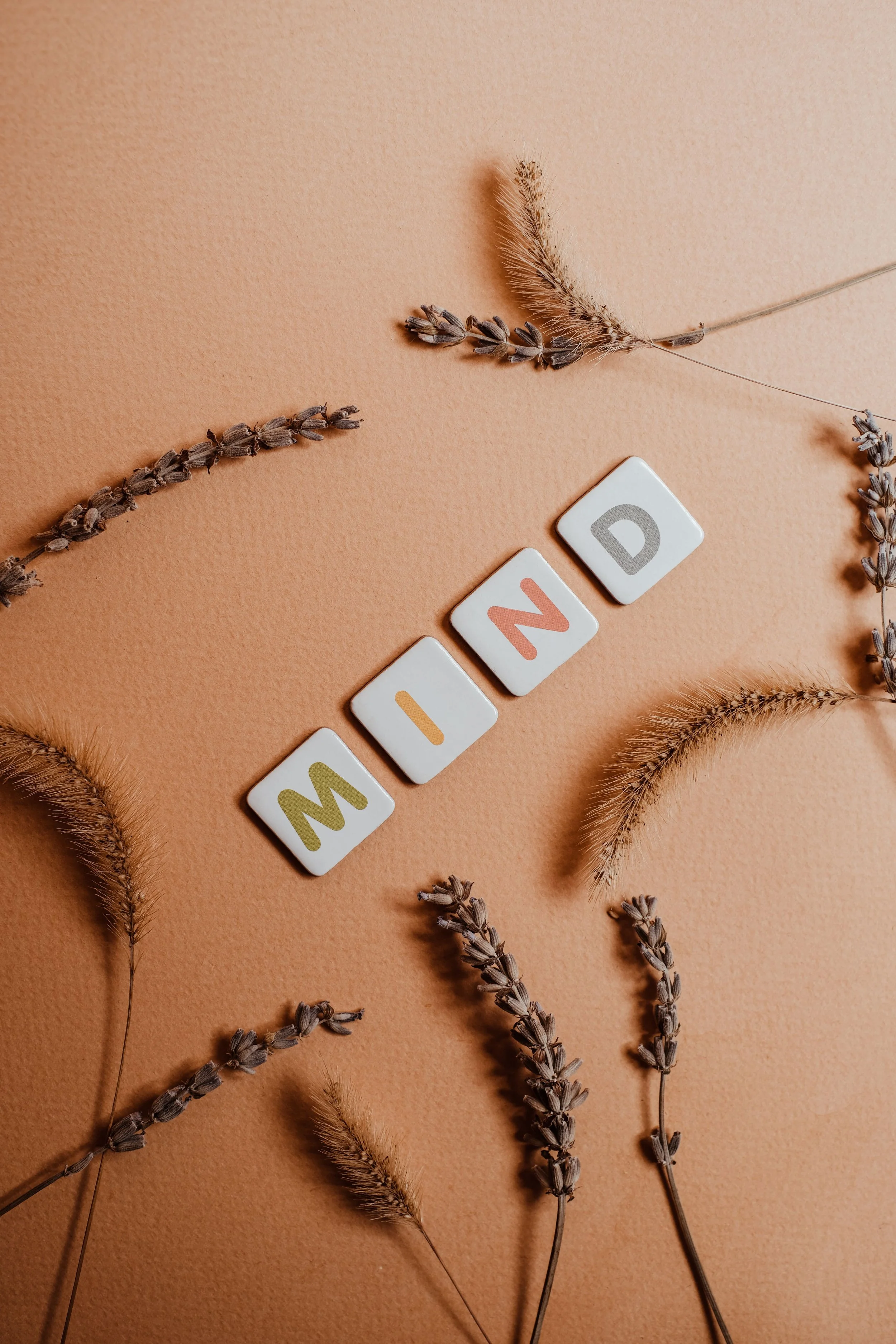 Mots formant le mot 'MISSION' avec des lettres sur des carreaux blancs, entourés de branches de lavande sèche sur un fond de couleur beige.