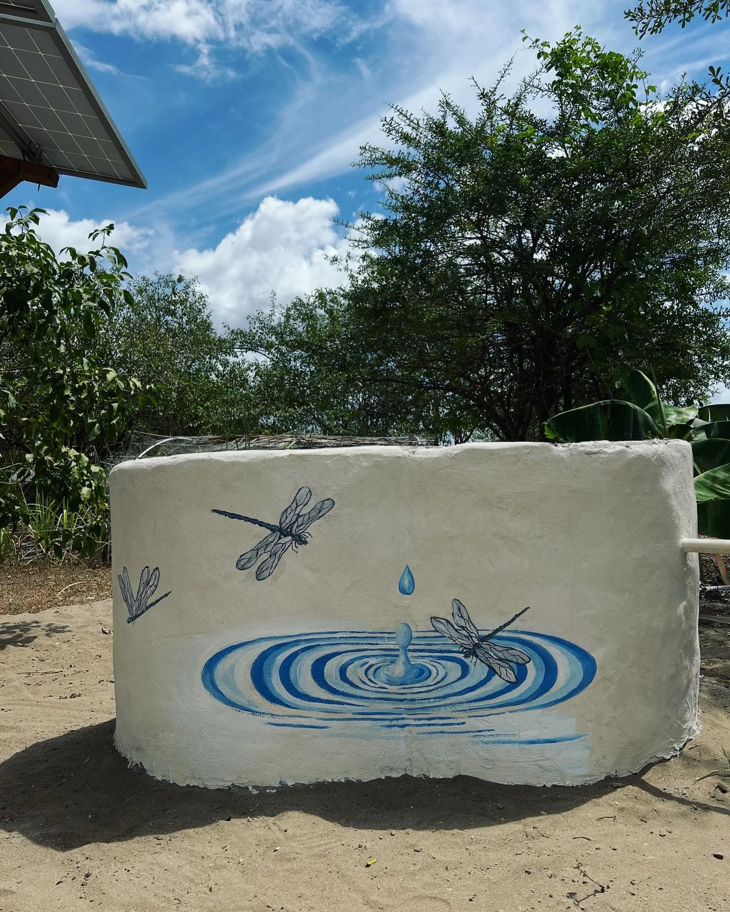This water well was amazing to be able to paint. I even surprised myself with this one- Check out how it works from every angle. @carpediemecoretreat . The reason I painted dragonflies was because one day we got to experience hundreds of them flying 
