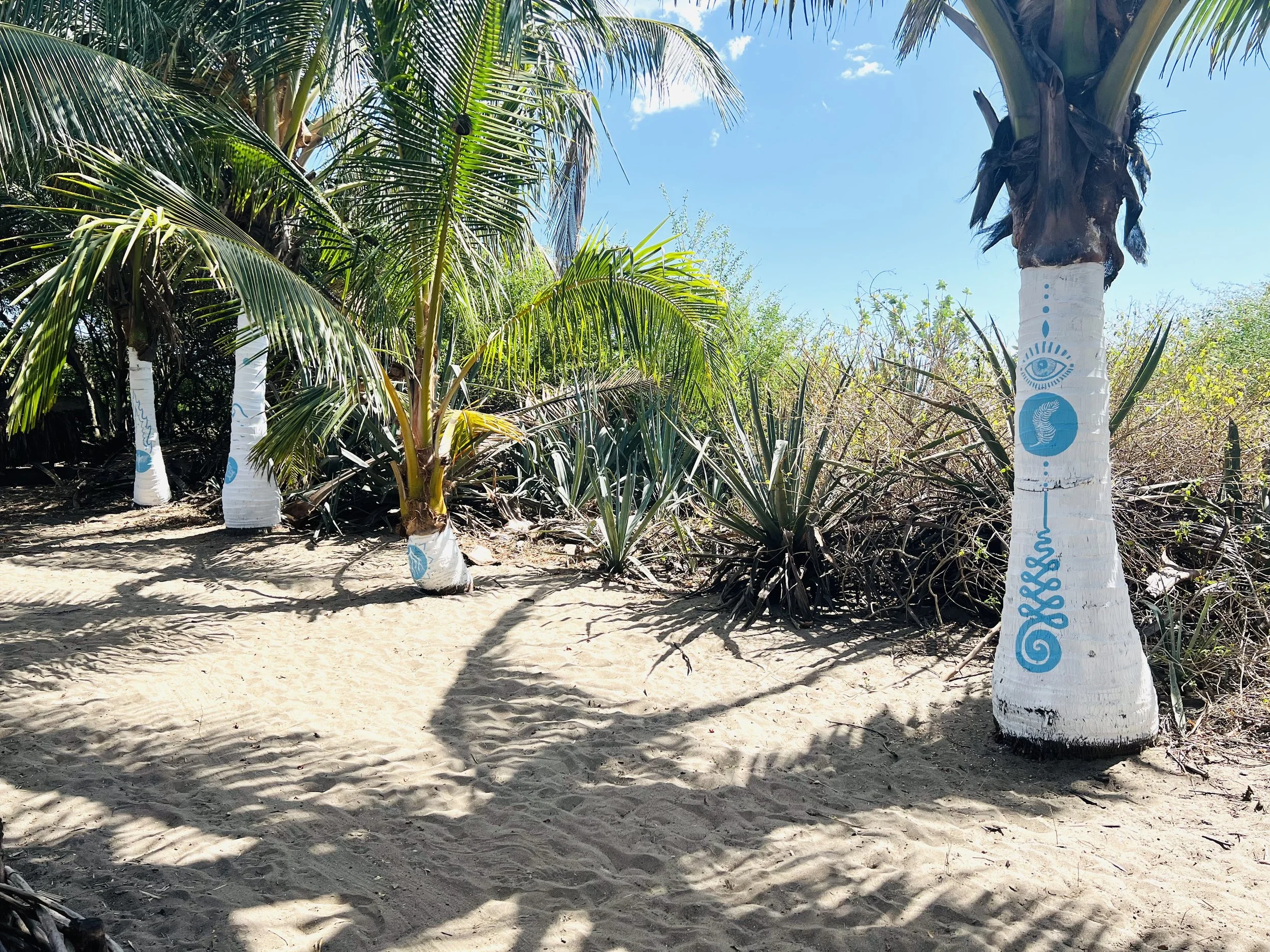 Palm trees with white painted trunks featuring blue art designs, on sandy ground with shadows, under a clear blue sky.