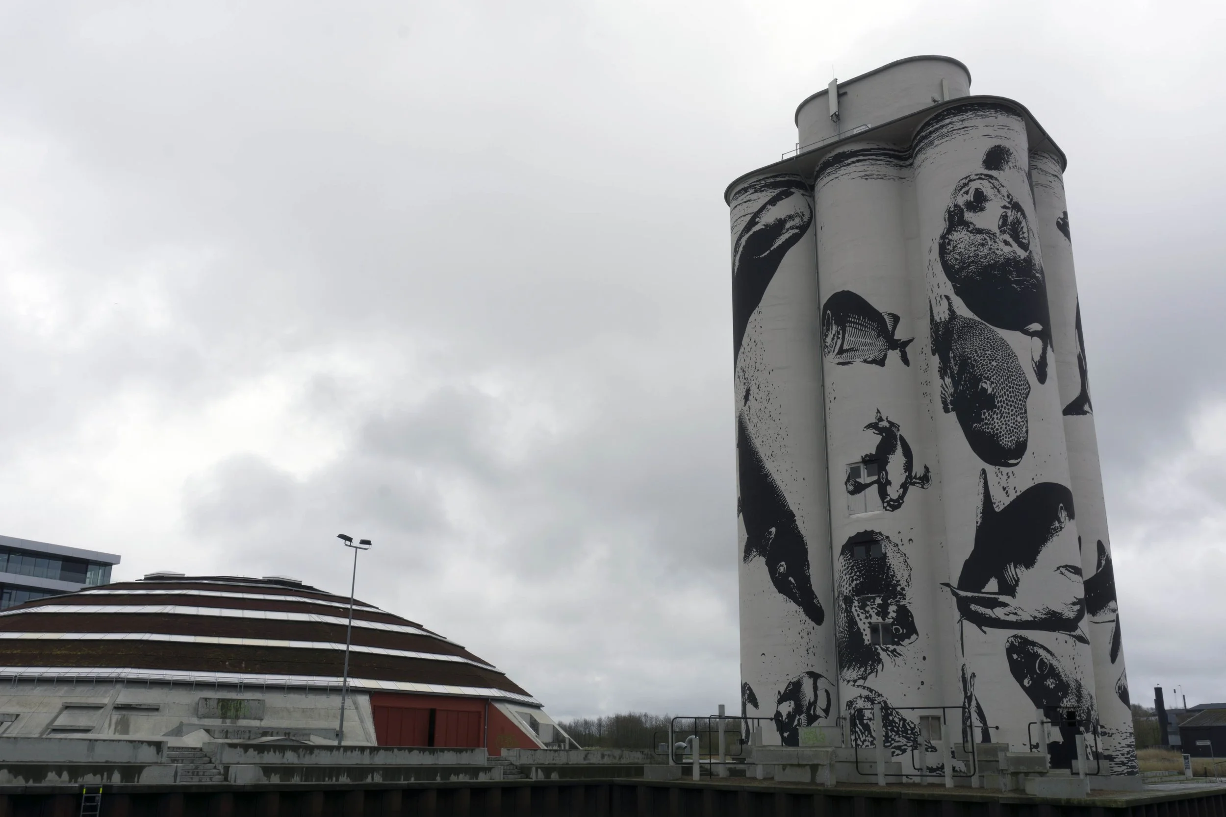 Large industrial silos with black and white artwork of various fish and aquatic animals painted on them, situated outdoors under a cloudy sky.